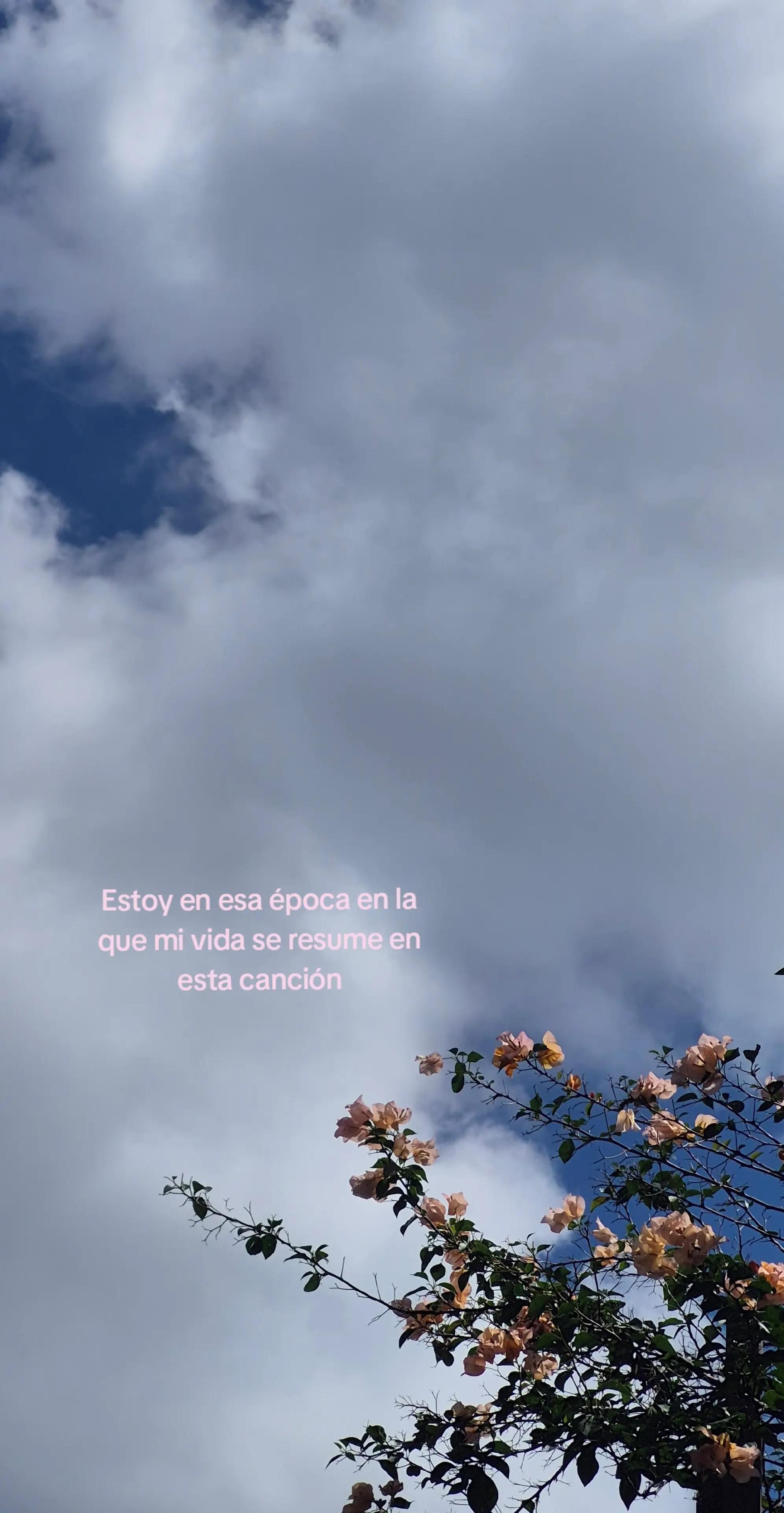 @Mary Arredondo