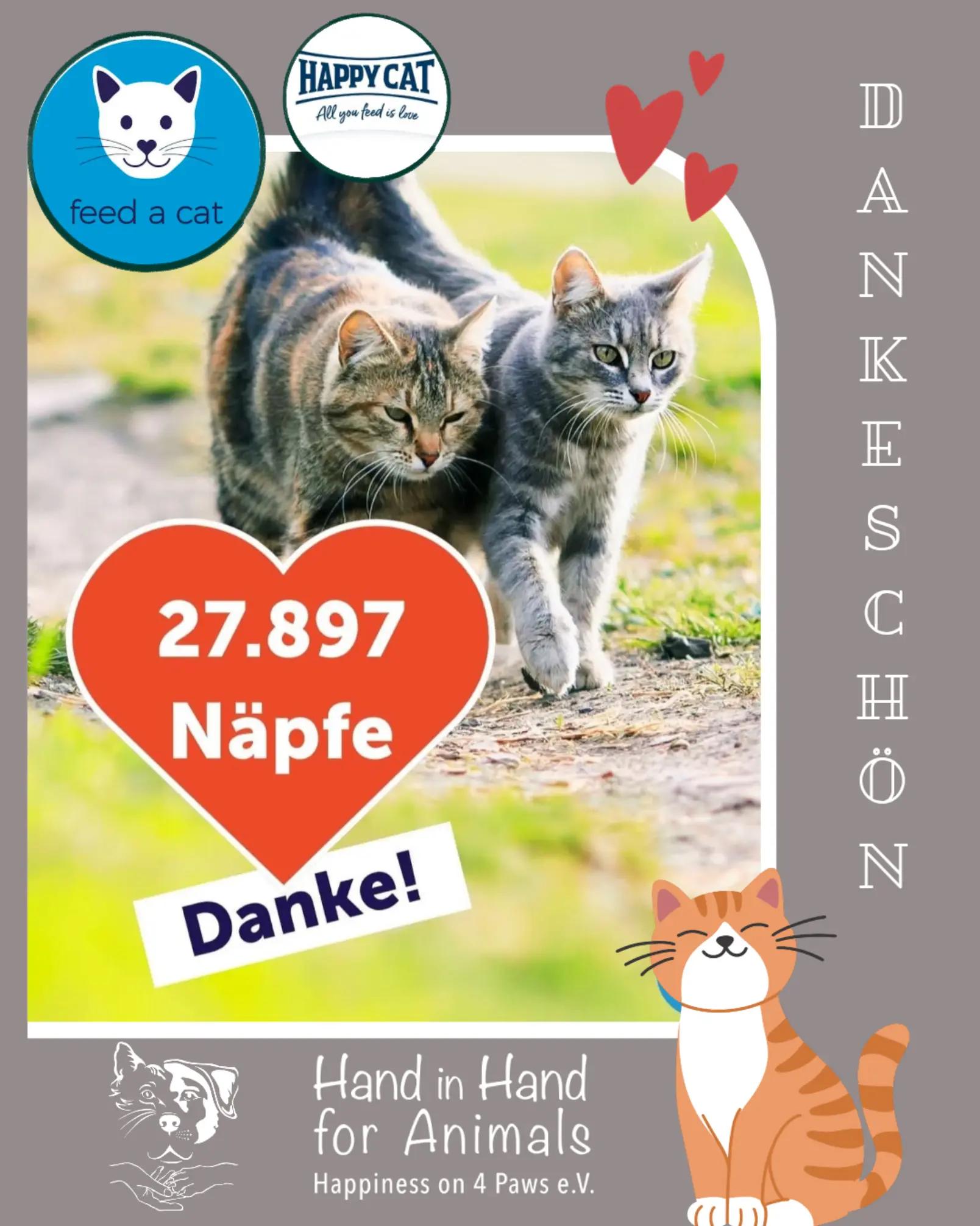 @🐱Hand_in_hand_for_animals🐱