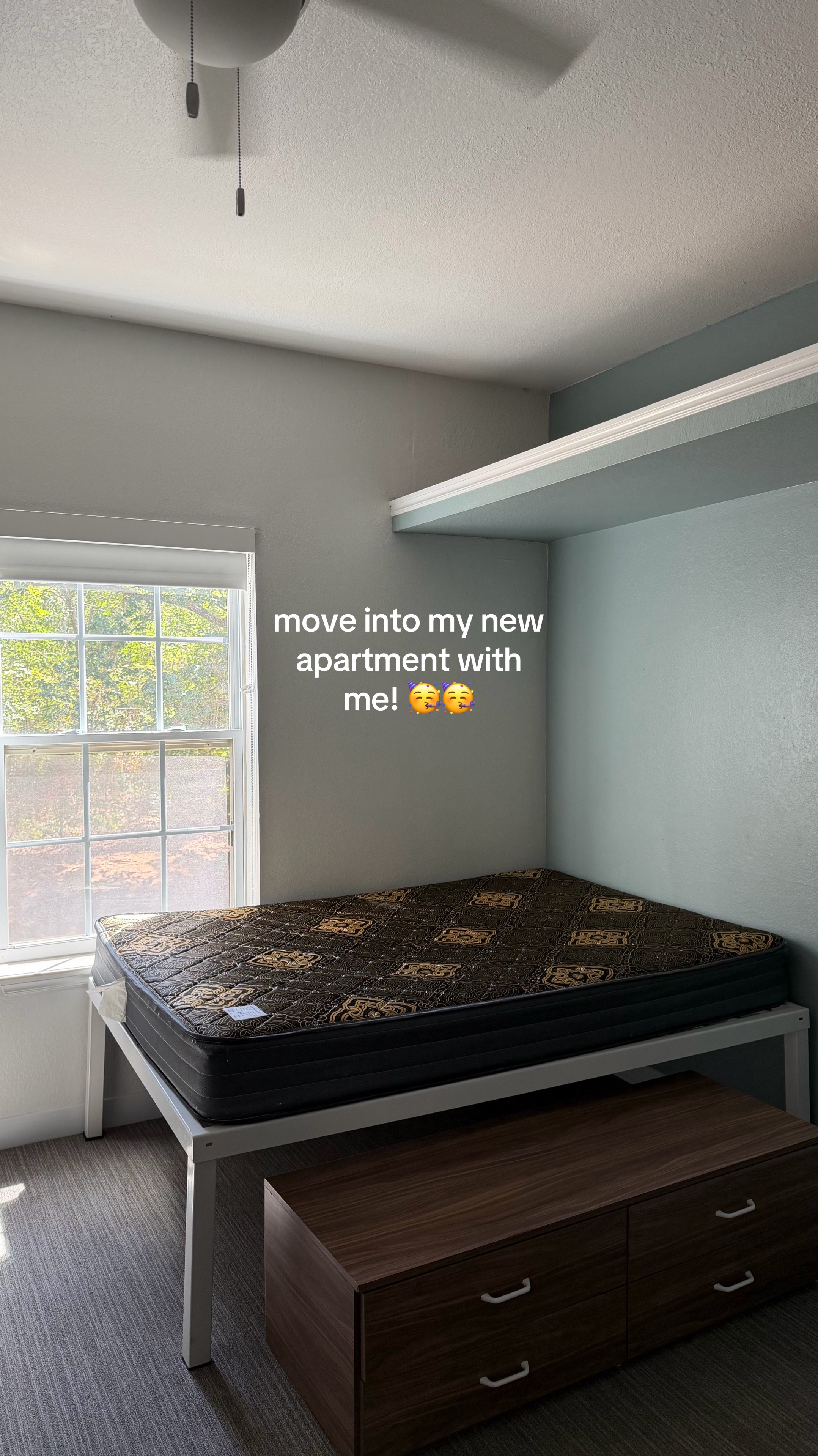@lalaloopsir