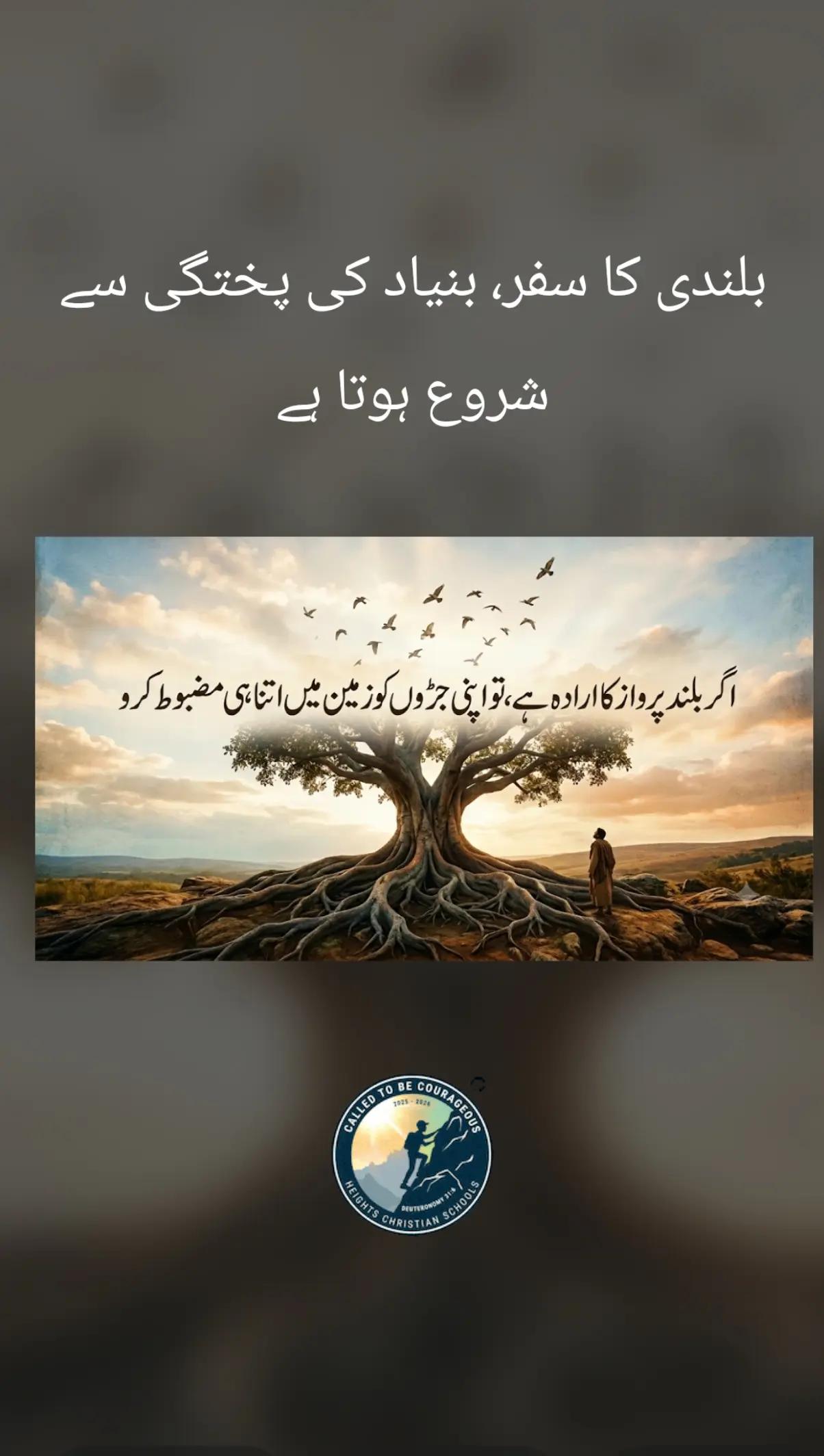 @🌟🇵🇰Gohar_e_Nayab🇵🇰🌟