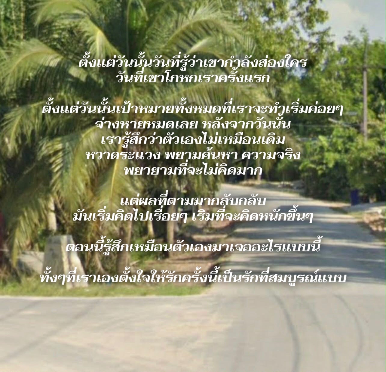 @ok100plus