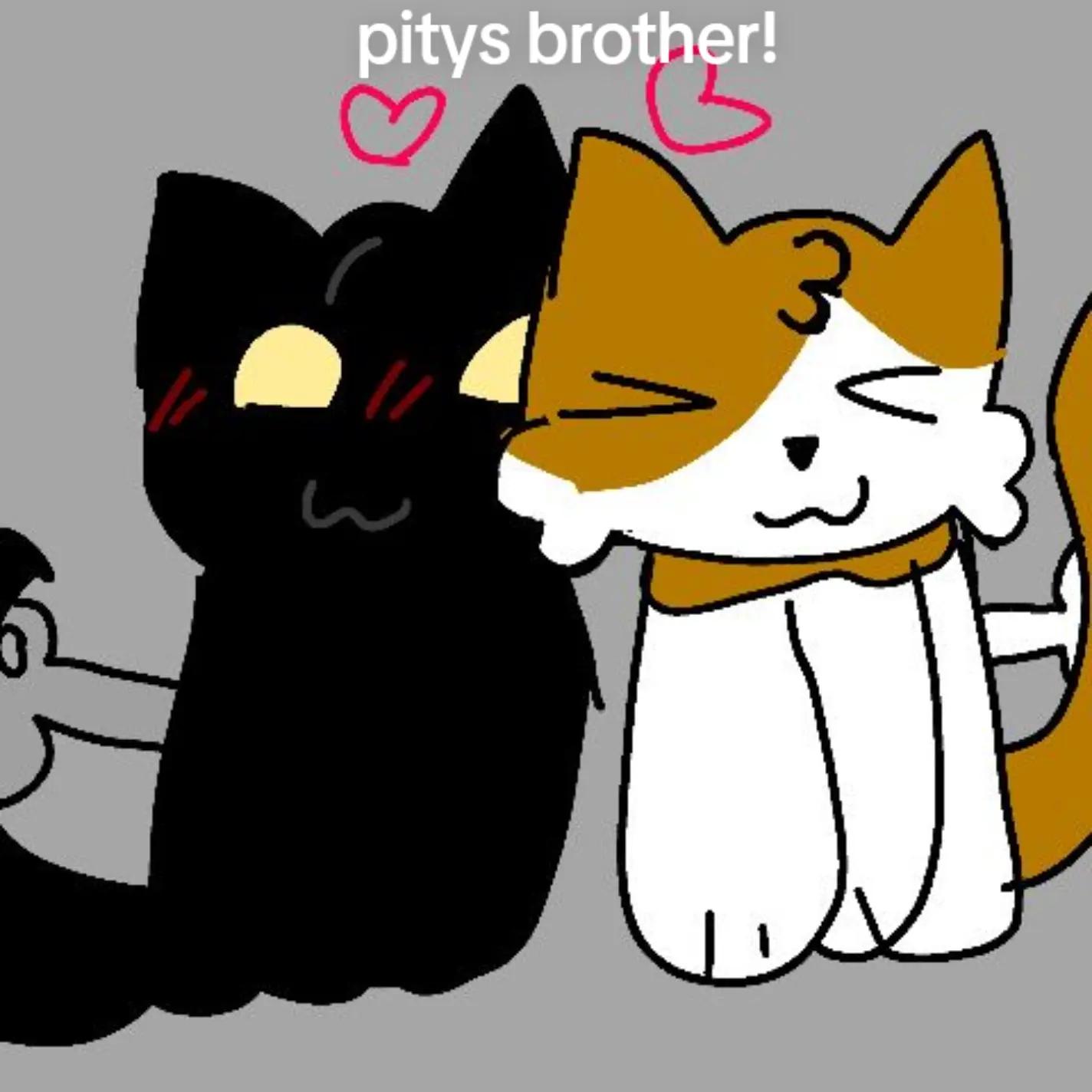 @pity the cat