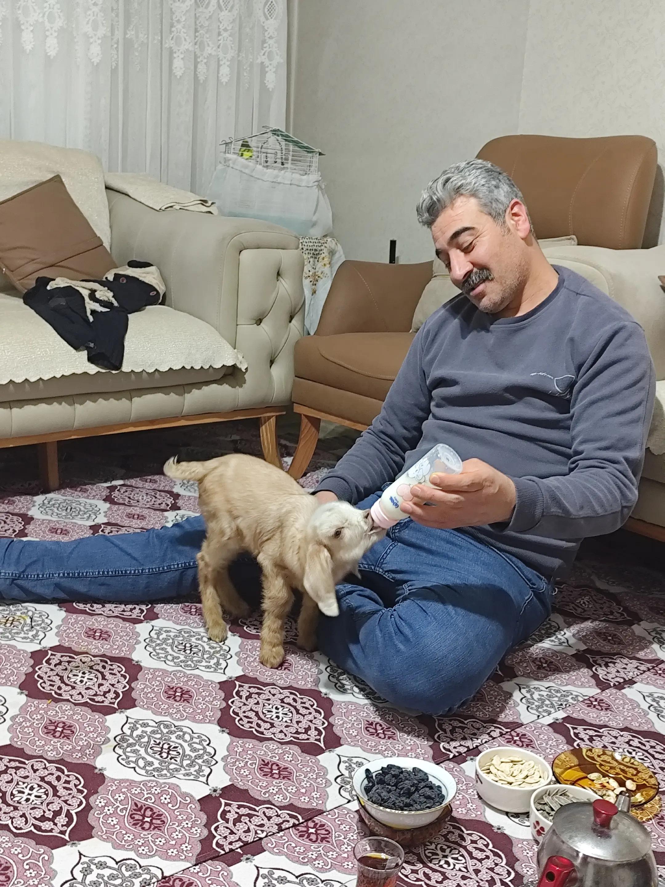 @şef Ayhan Gunes
