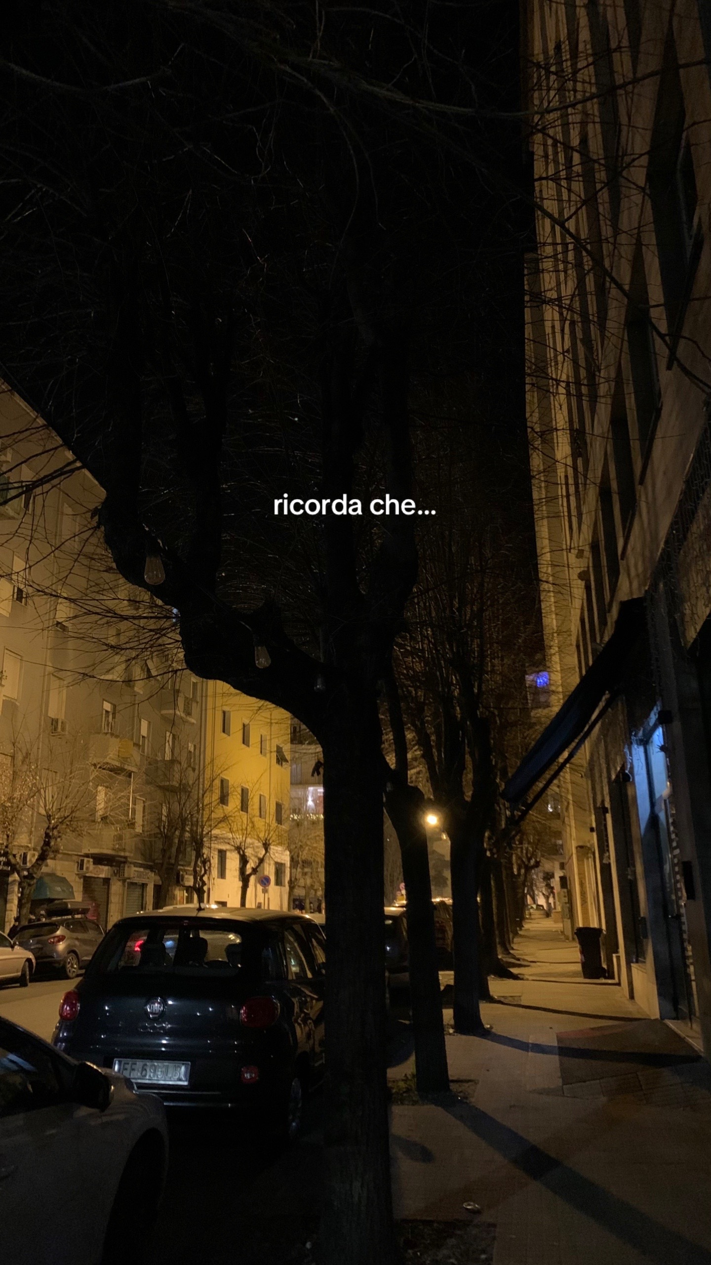 @giorgia