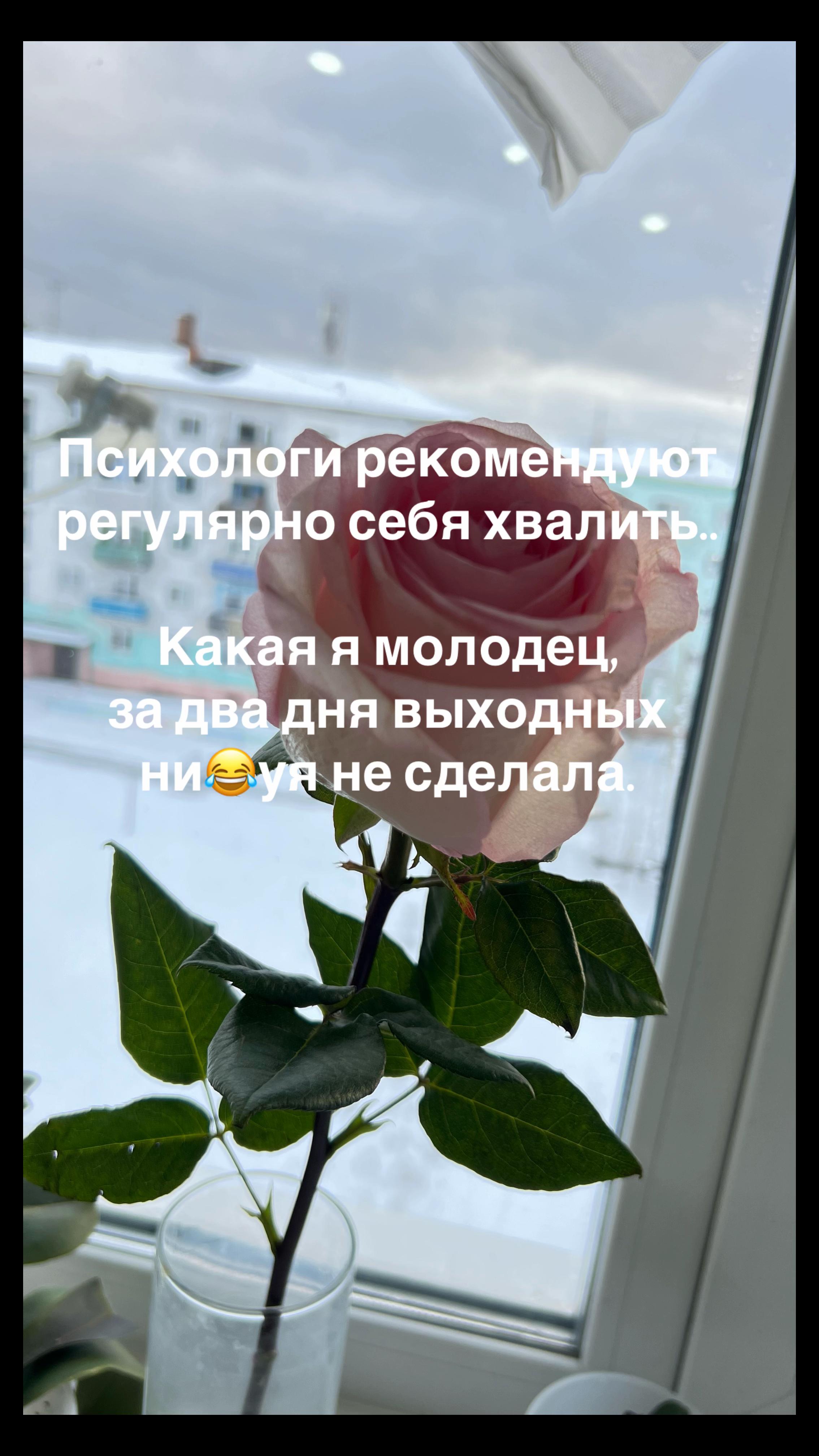 @Оленька
