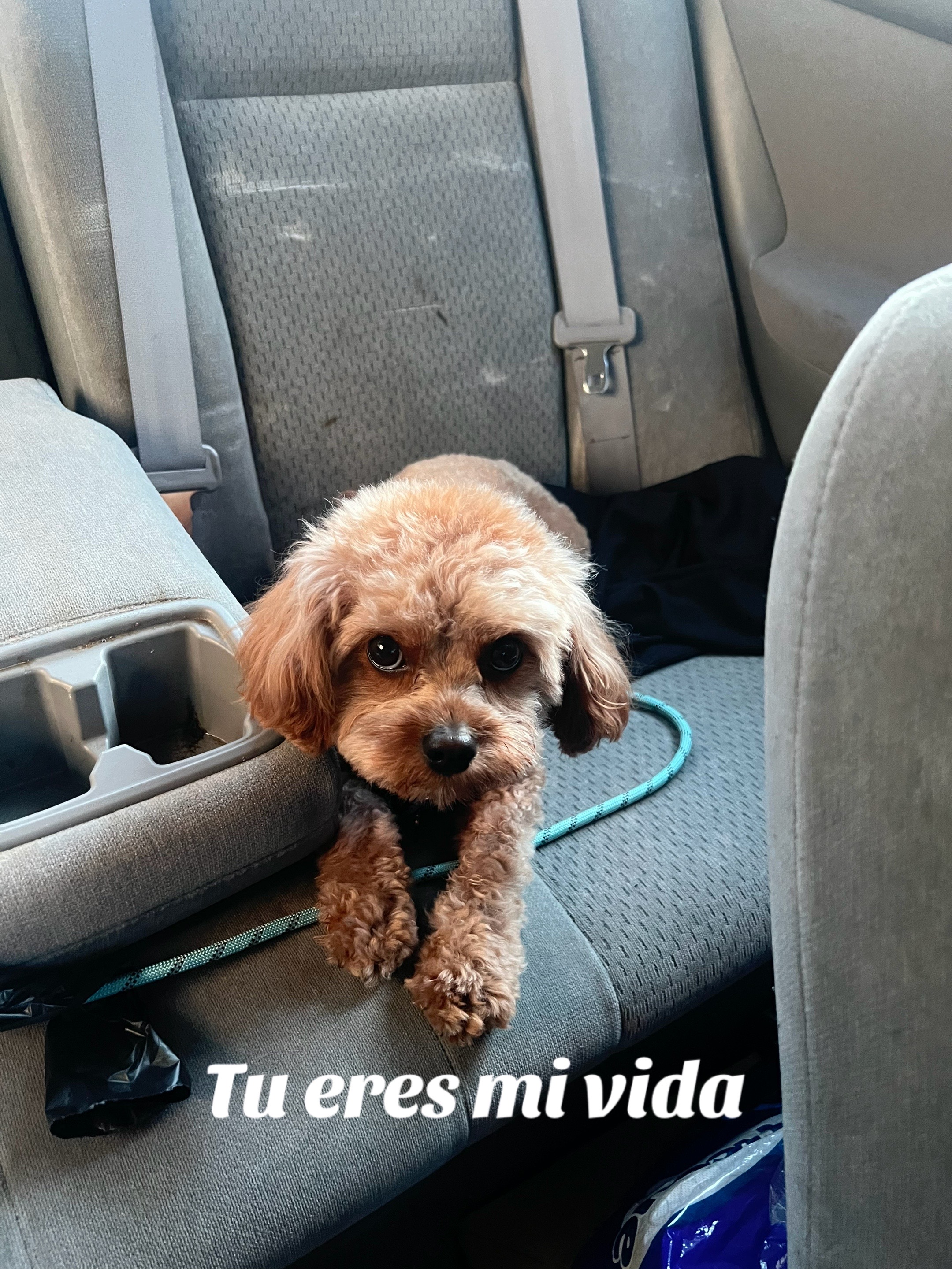 @_arxliss