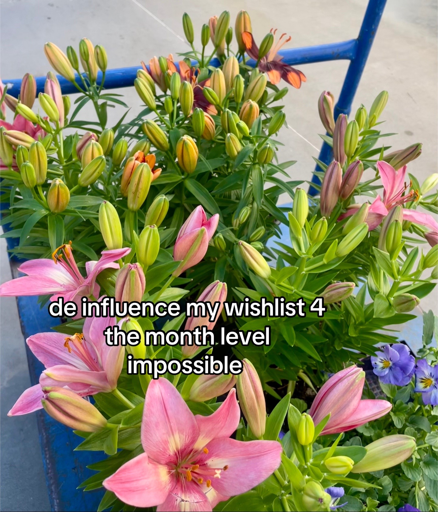 @des