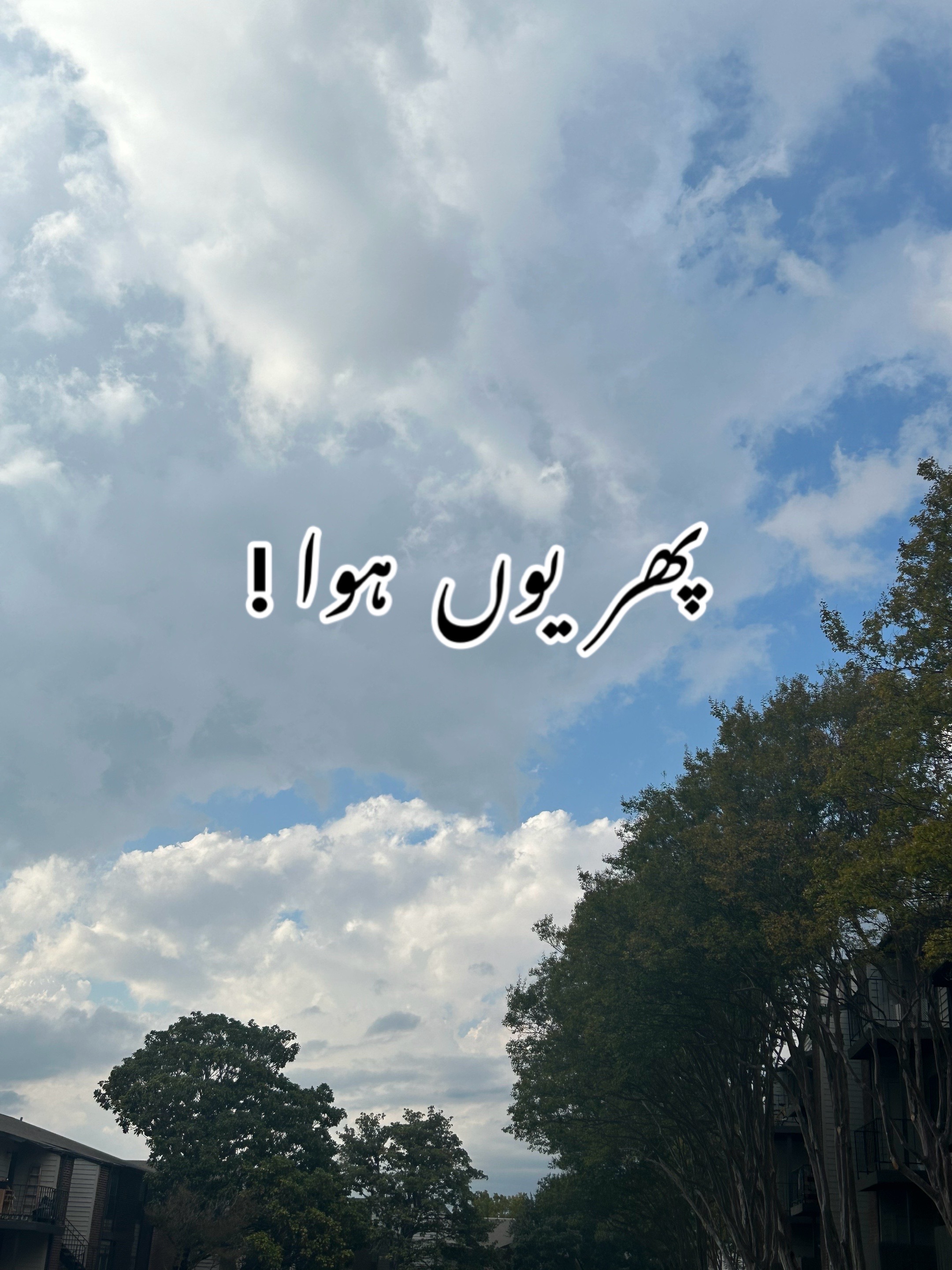 @ZaraHayat020104