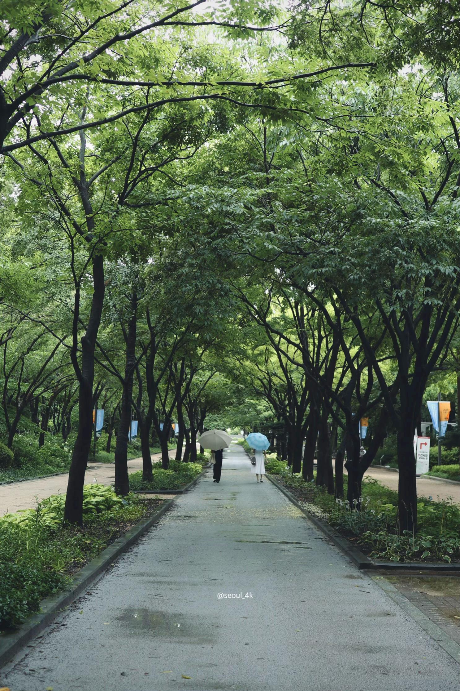 @seoul_4k