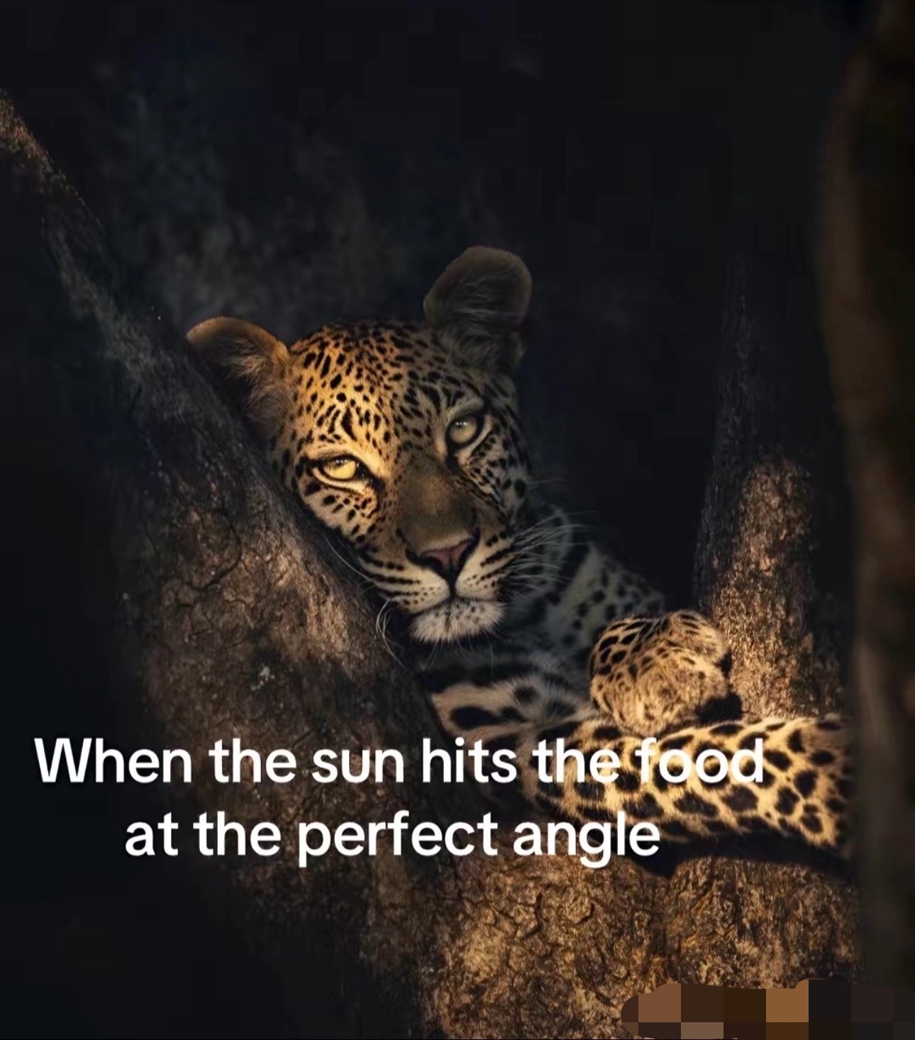 @ 