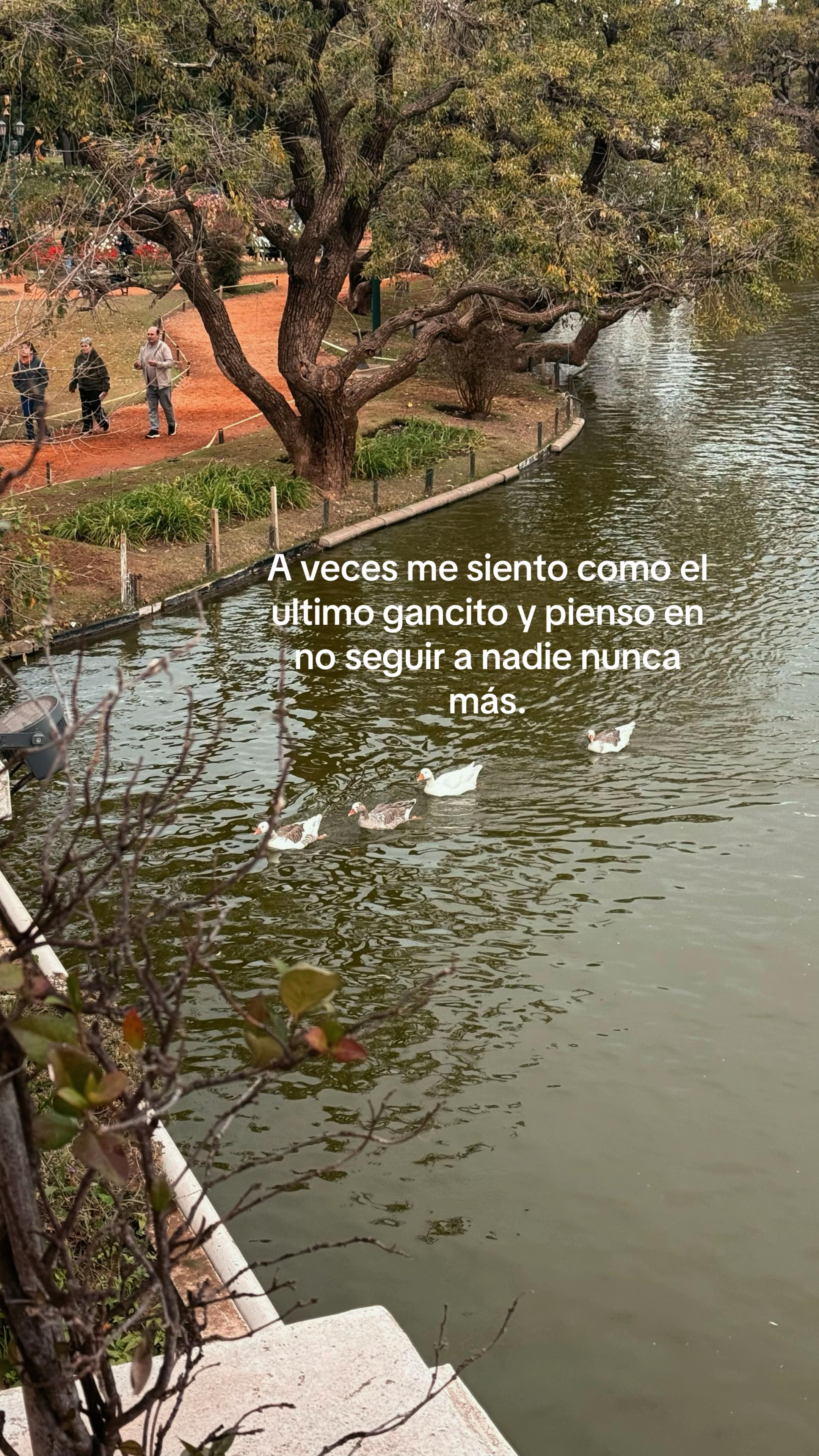 @luchii
