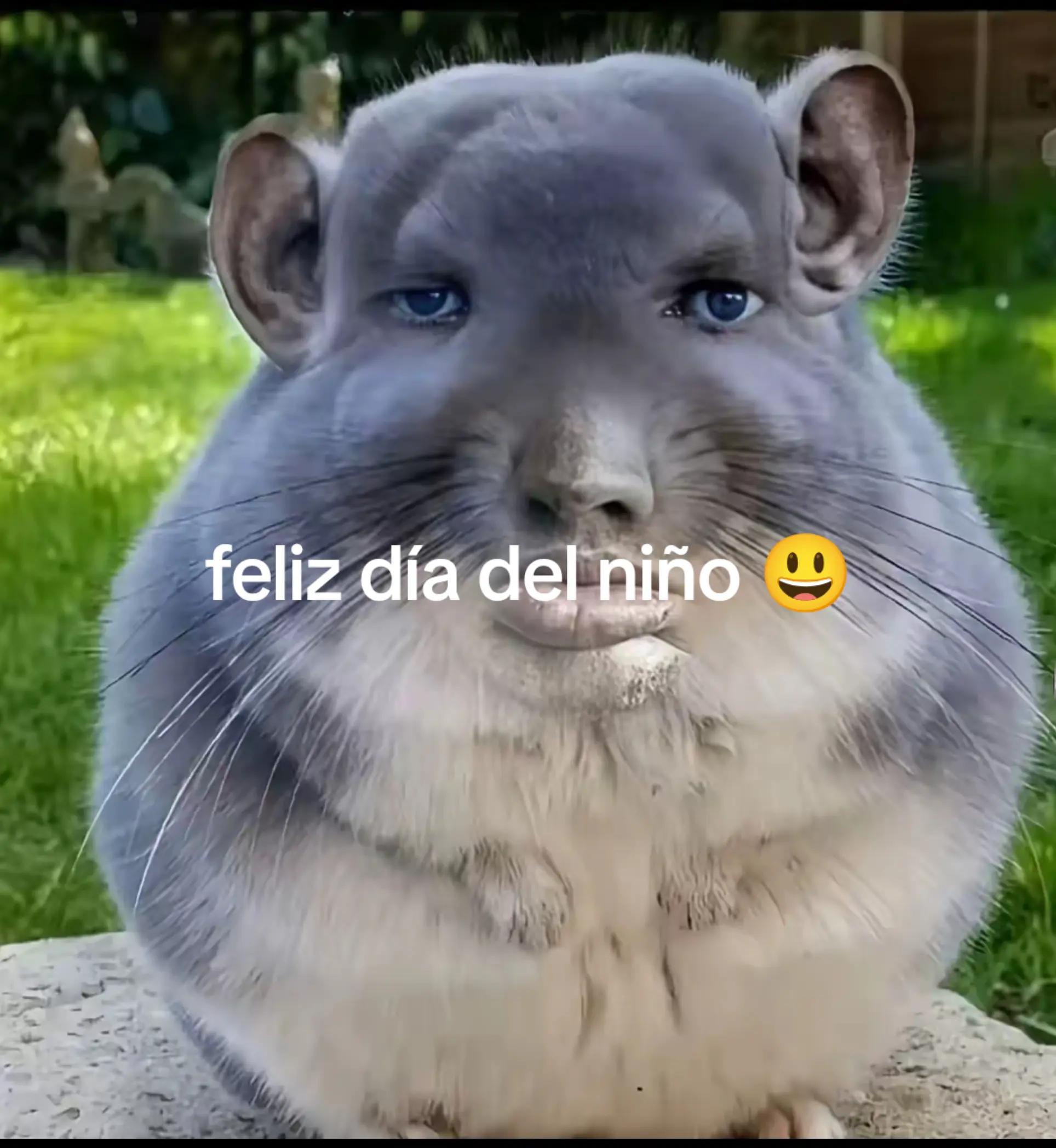 @andreboy3r3💛💛💙💙🐯
