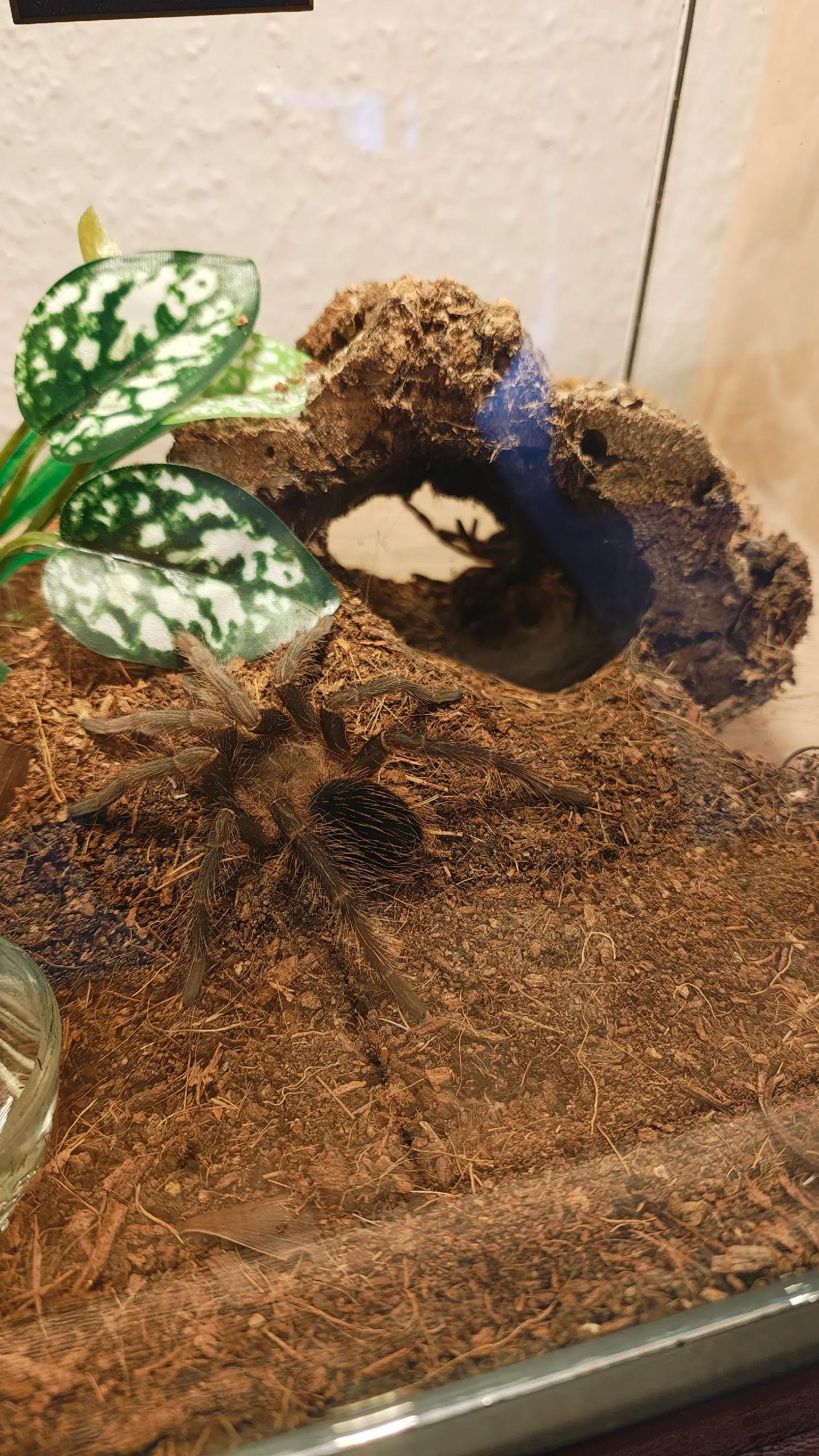 @Magdalena® 🕷️🐍🦂🪴