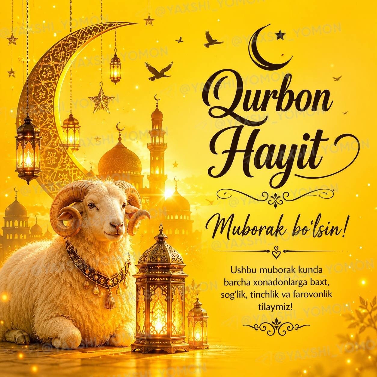 @bakhtiyarvch