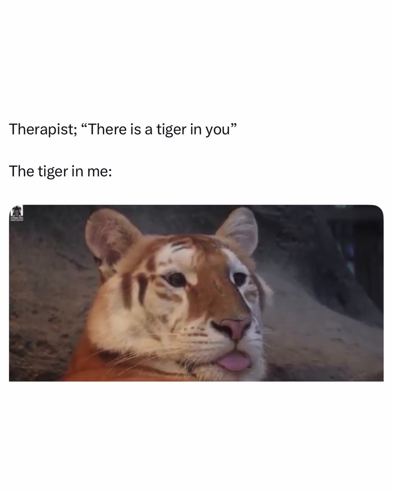 @females
