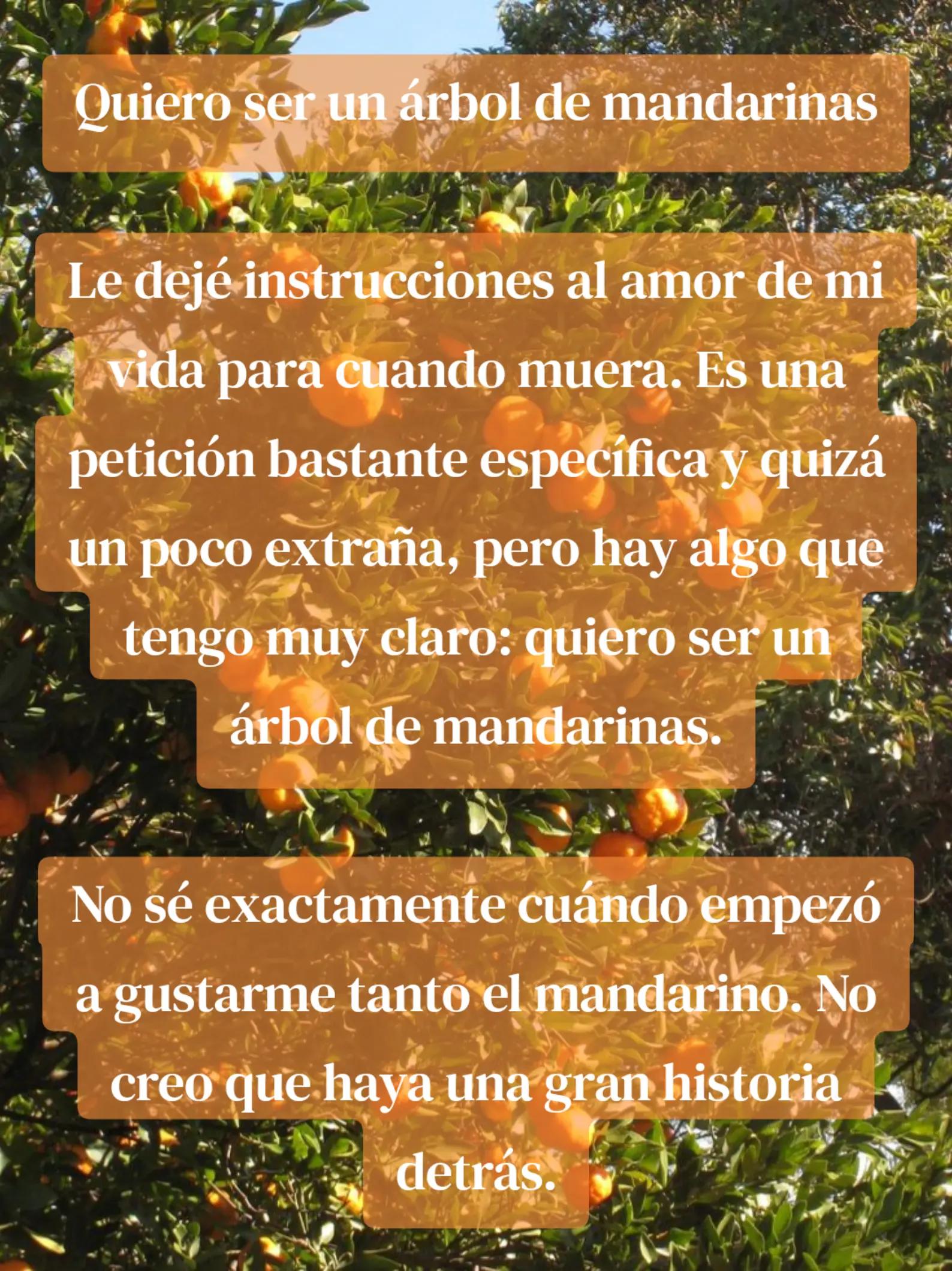 @Valentine Gray