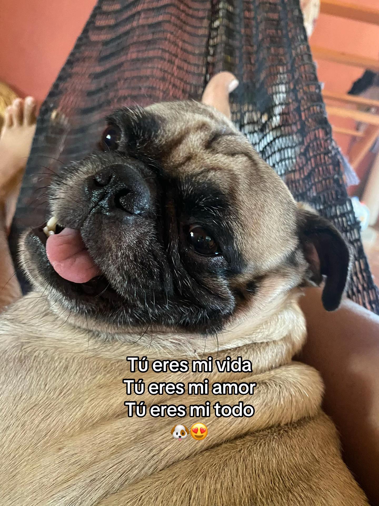 @Lisbeth11