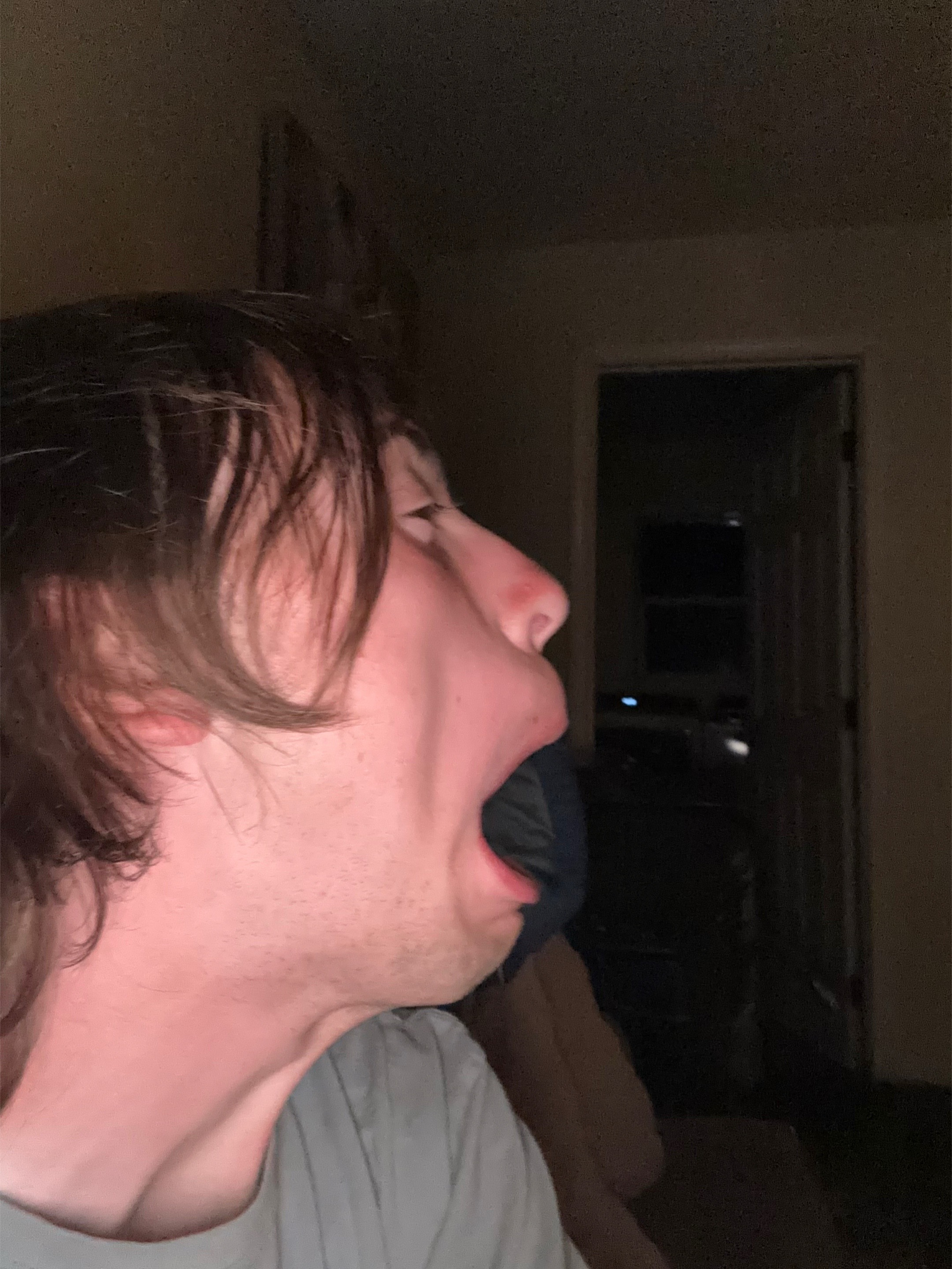 @PlansBIT