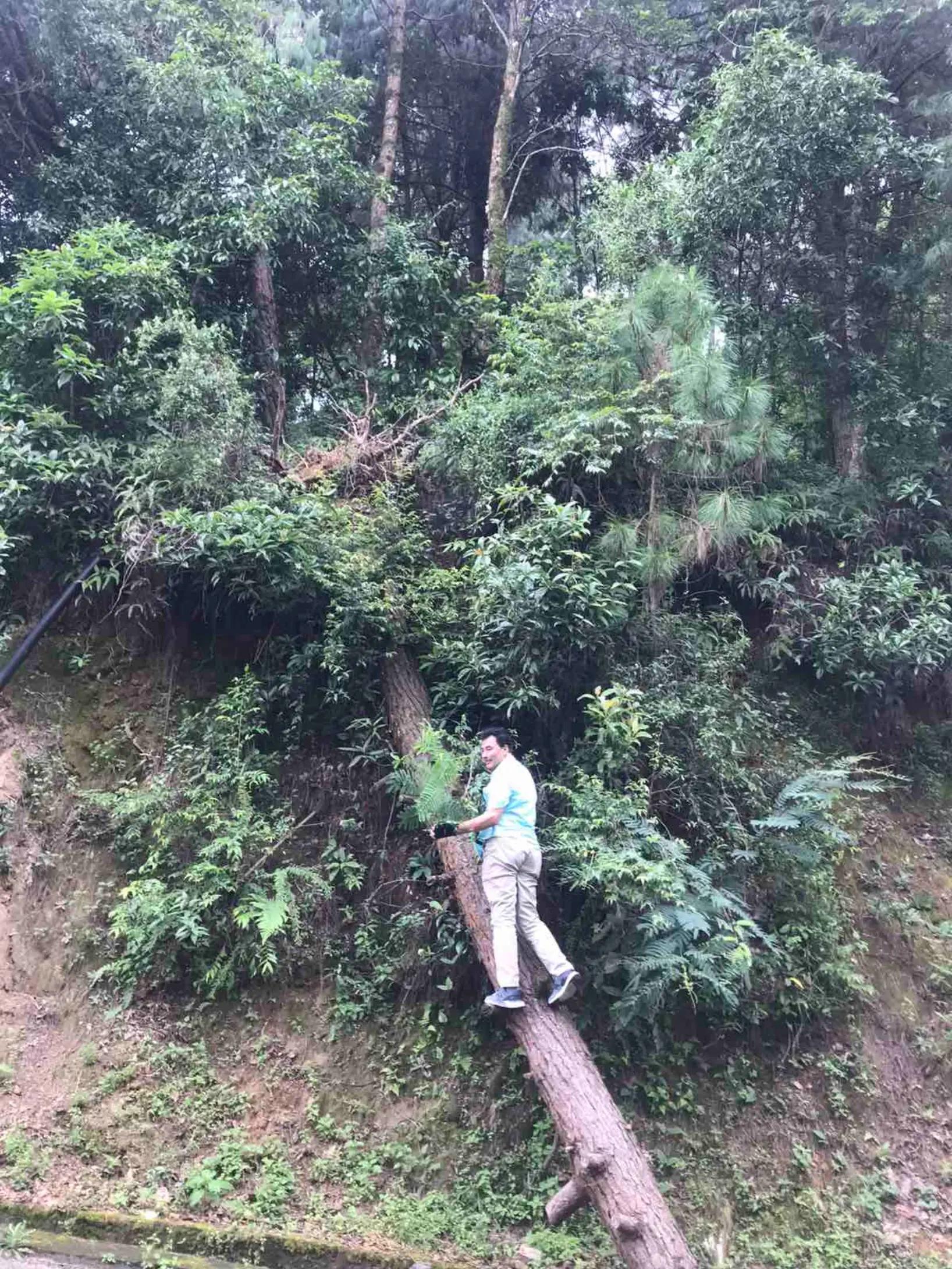 @shyam_shrestha-17
