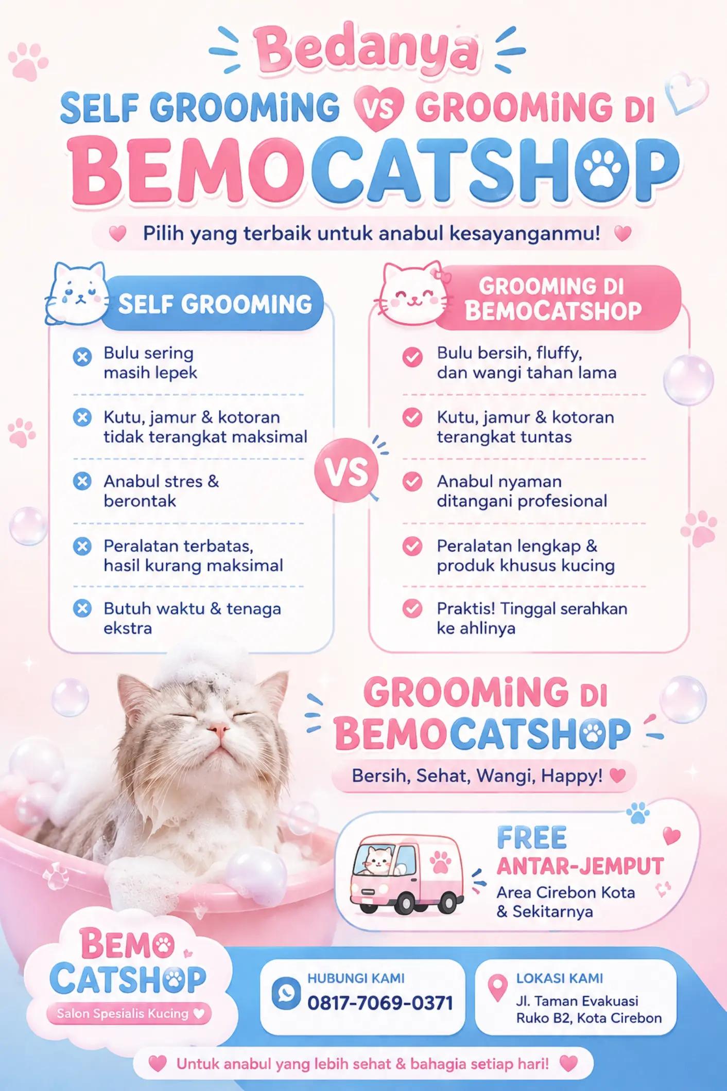 @Bemo Catshop