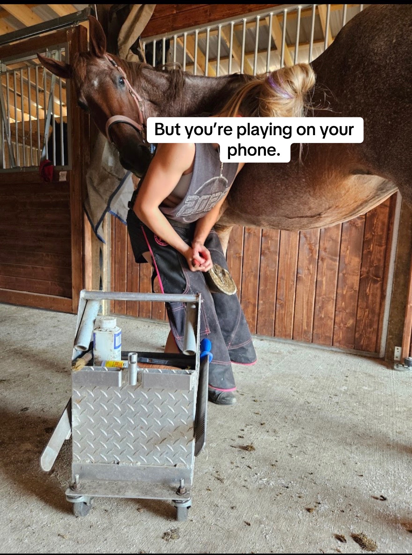 @Pony Squisher