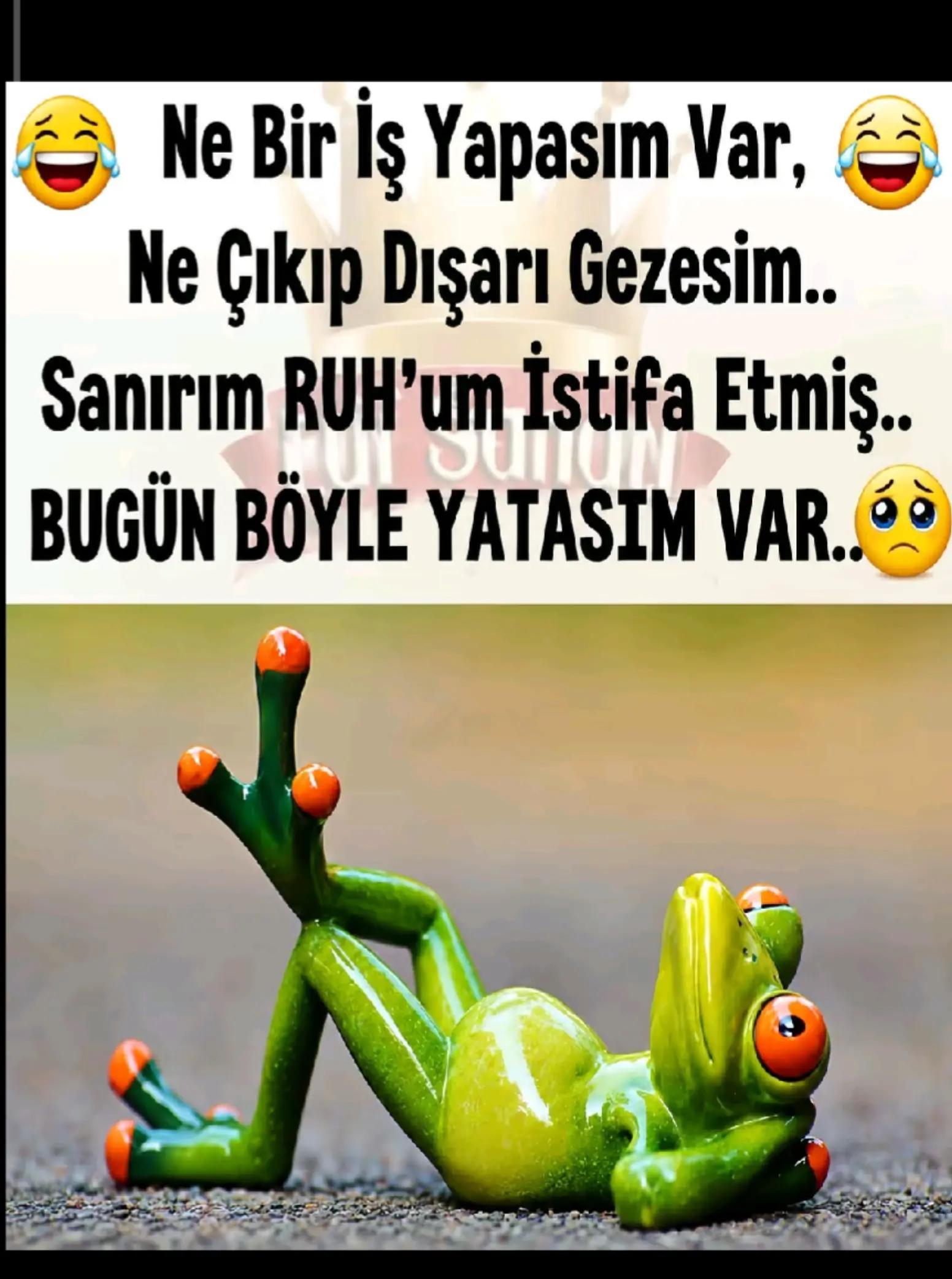 @Gülnihal Bal
