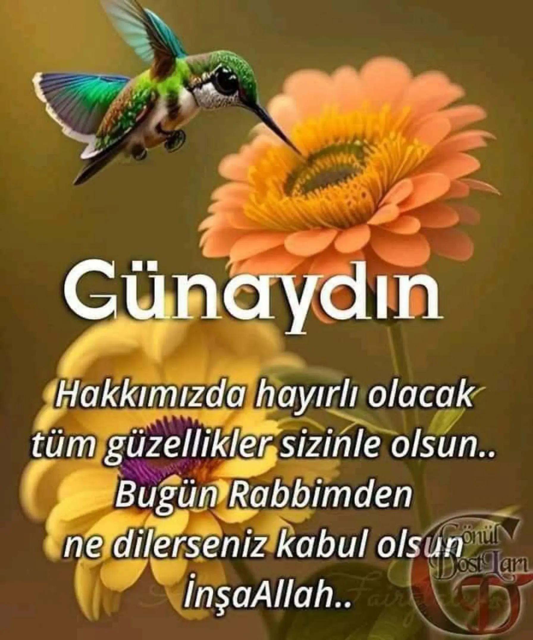 @Tennur yılamaz