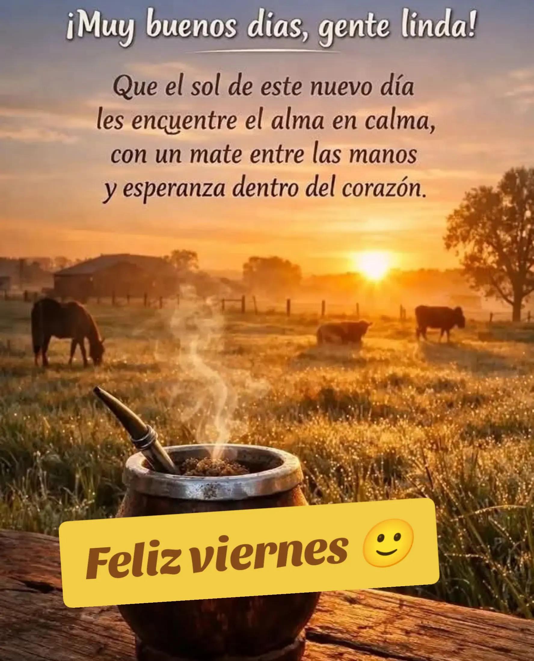 @Alileiva✨💫❤️🫰🌺🍒🌸🧠🥂