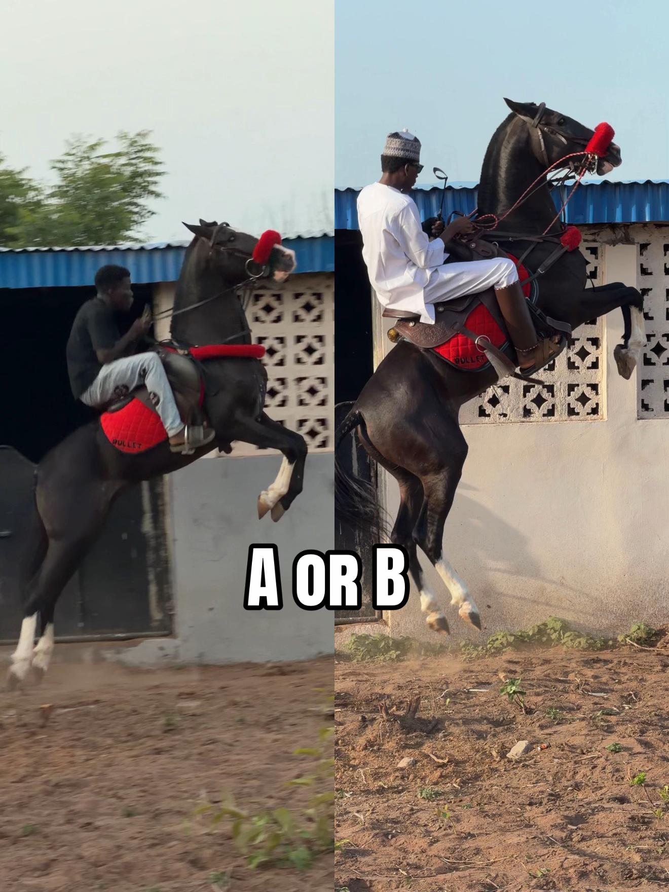 @GIWA🐴EQUESTRIAN🐎♥️WORLDWIDE