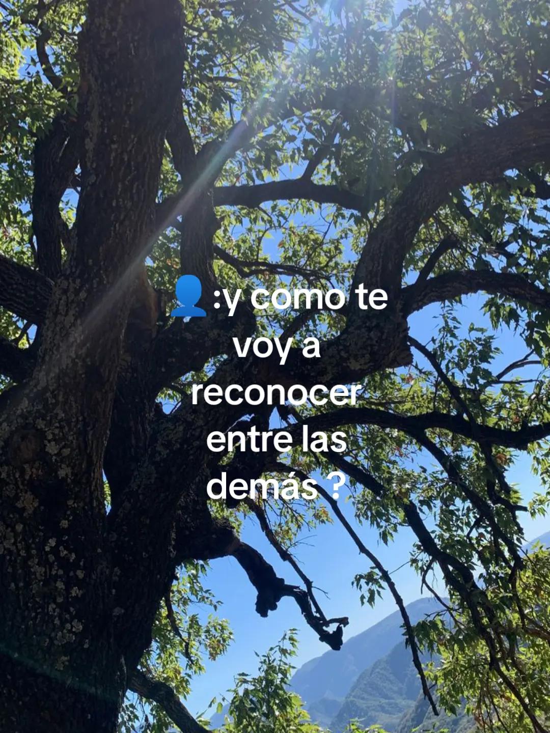 @୨୧ 𝐉𝐞𝐧𝐧𝐢𝐞 𝜗𝜚
