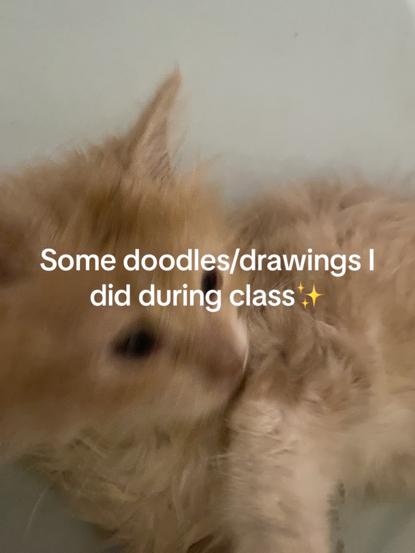 @ᙏOᑎᗩᙅᗩ TOᙎᗩ