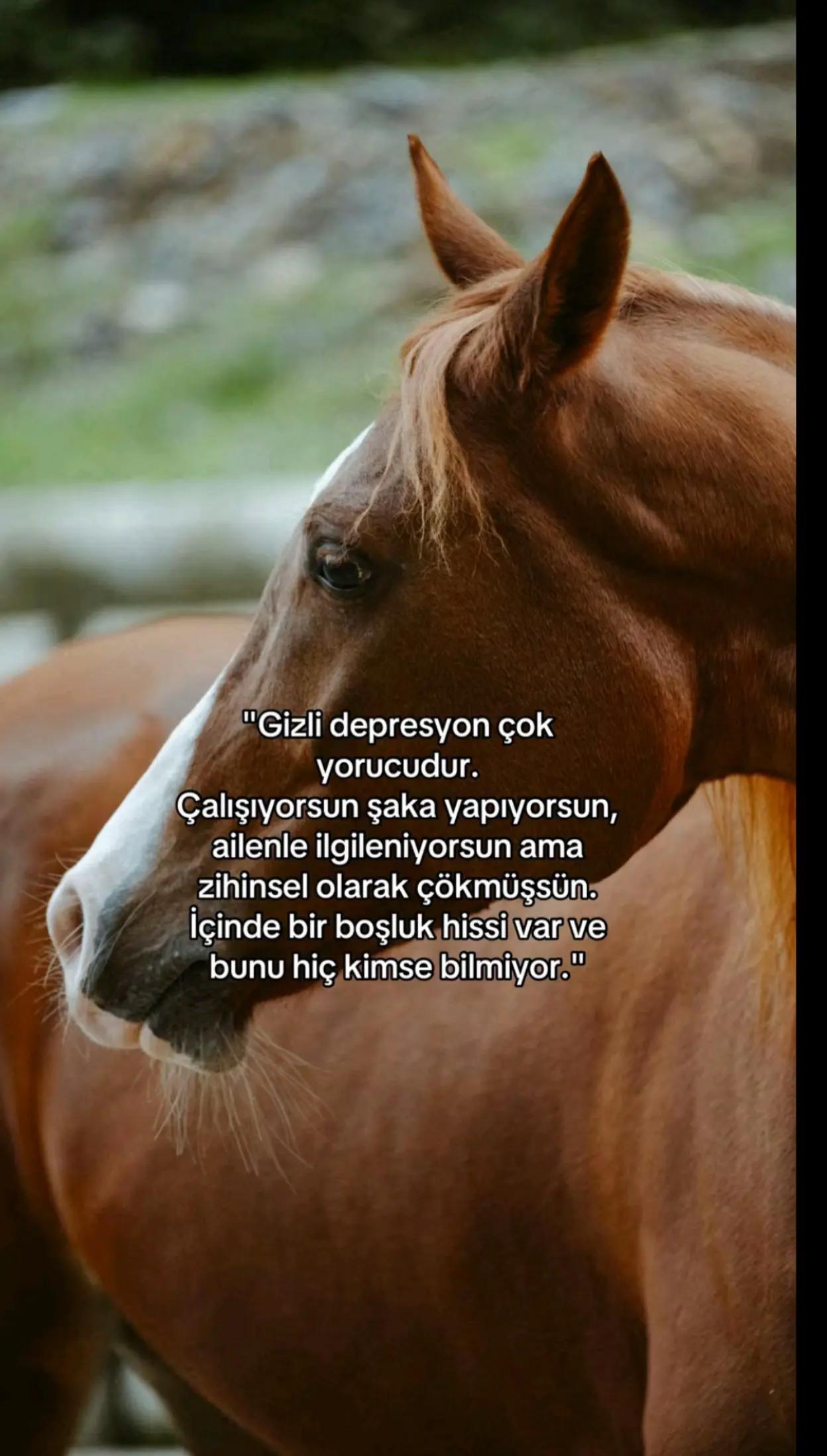 @Ahsenirana