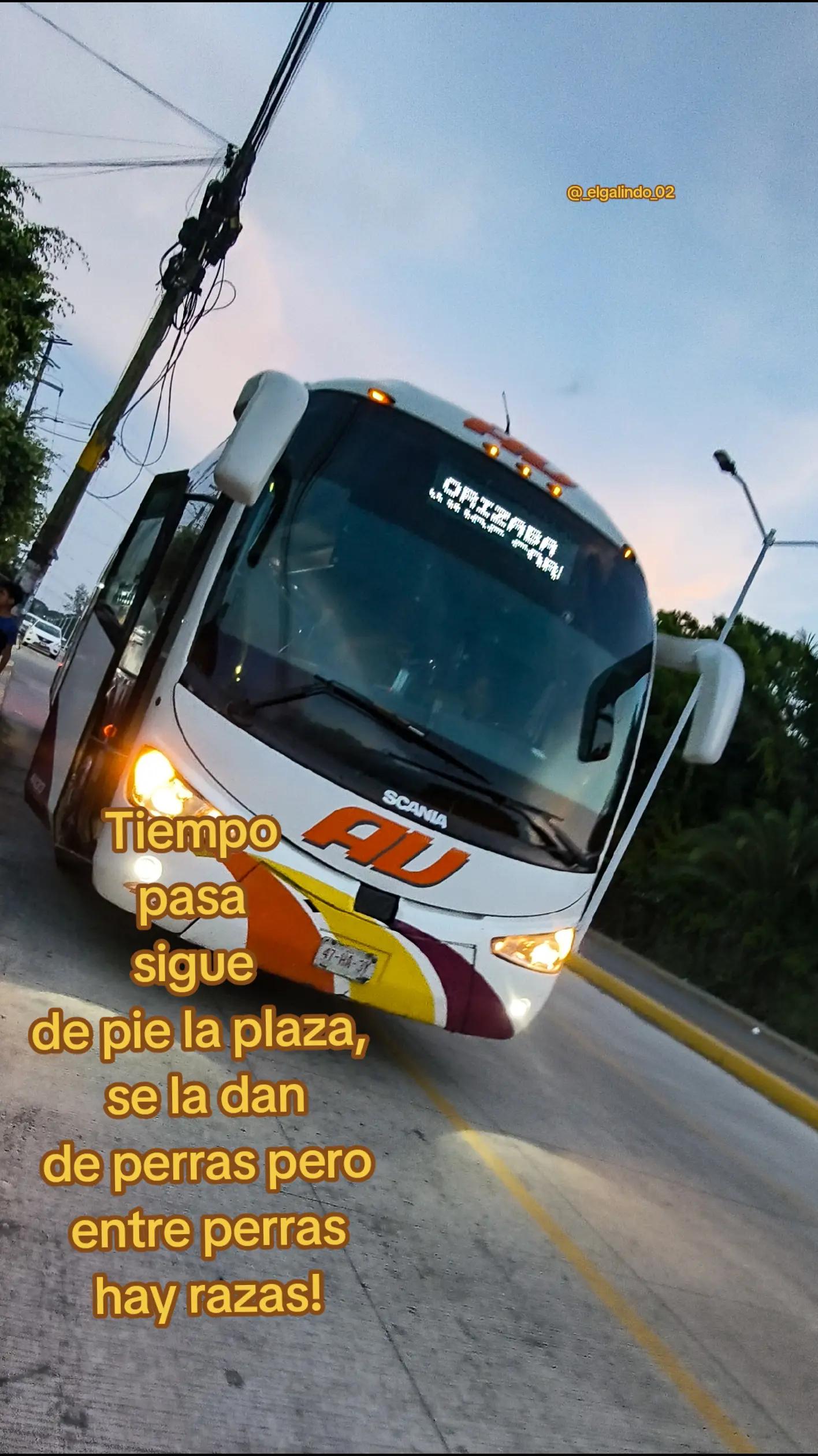 @_elgalindo_02