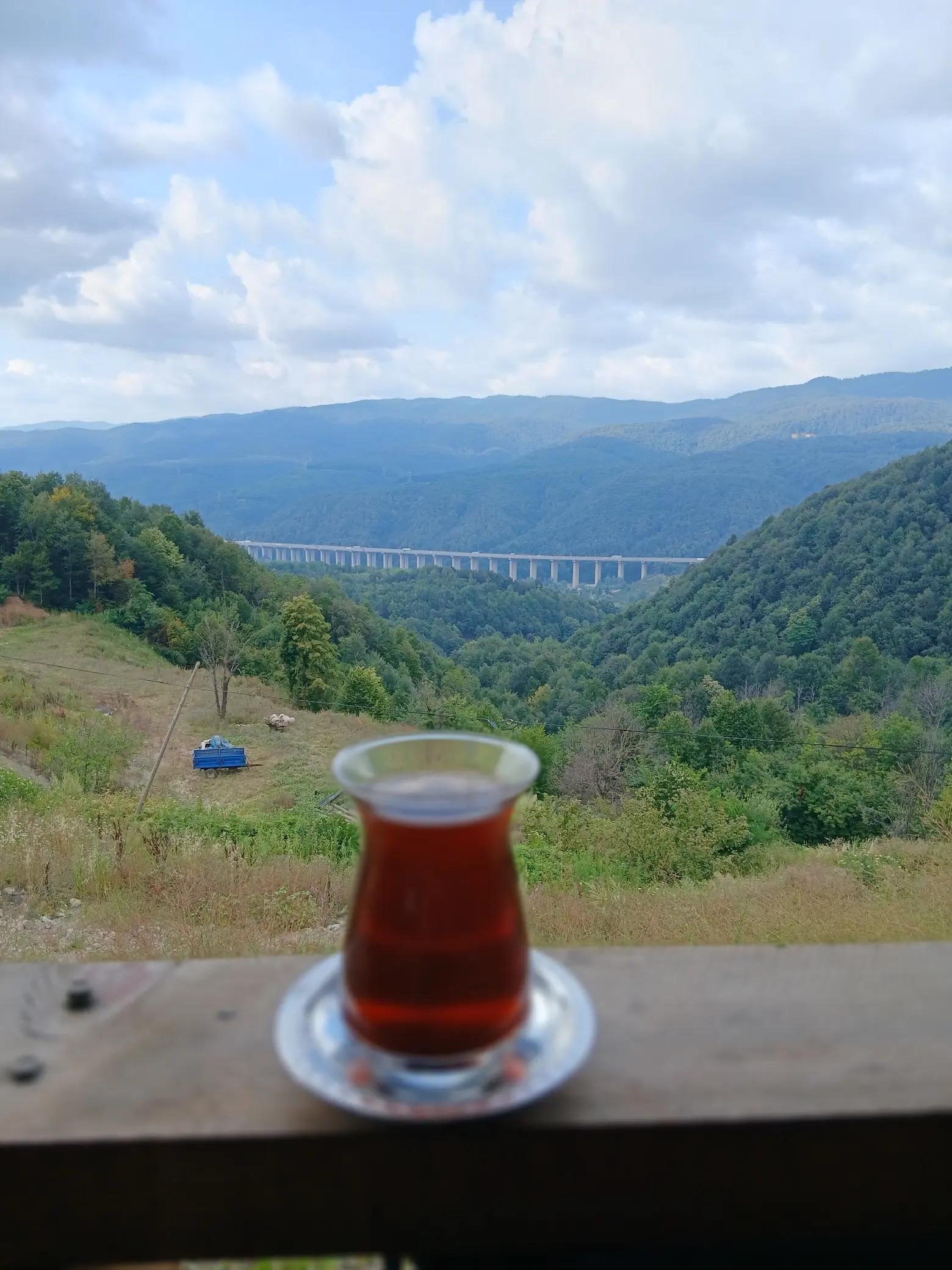 @Dilek