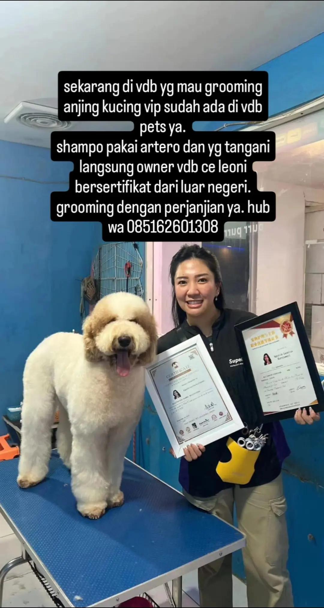 @Vdb petshop