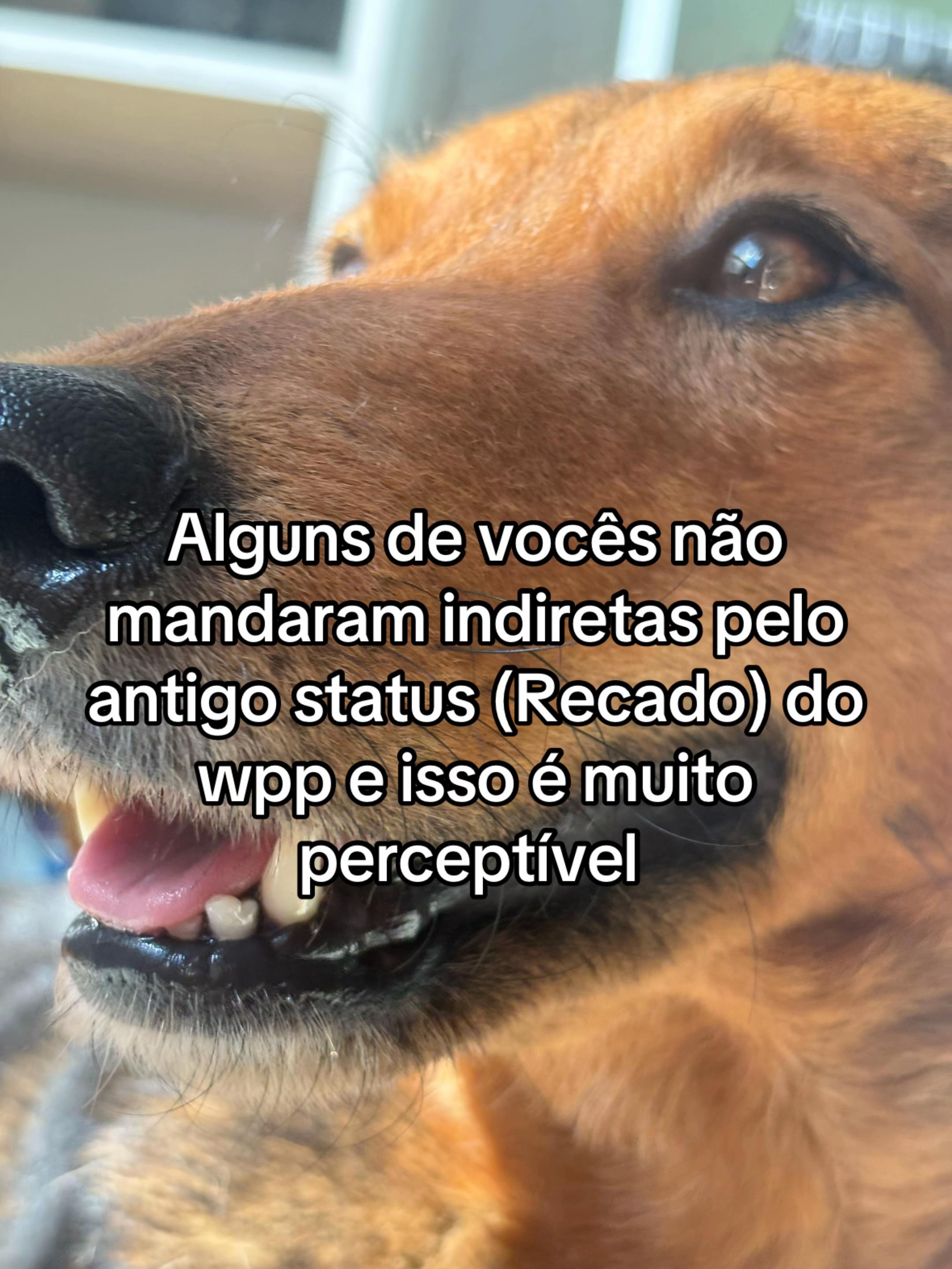 @Aninha