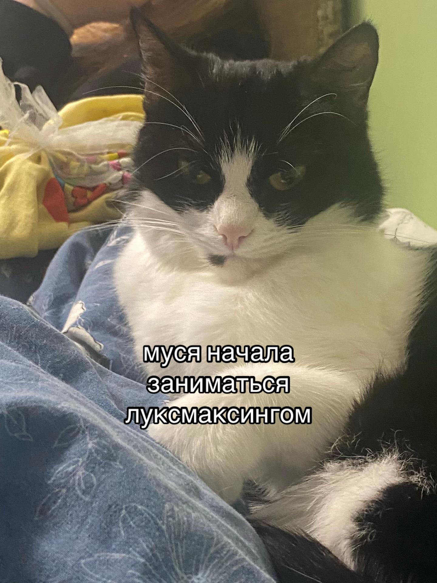 @hsjzk