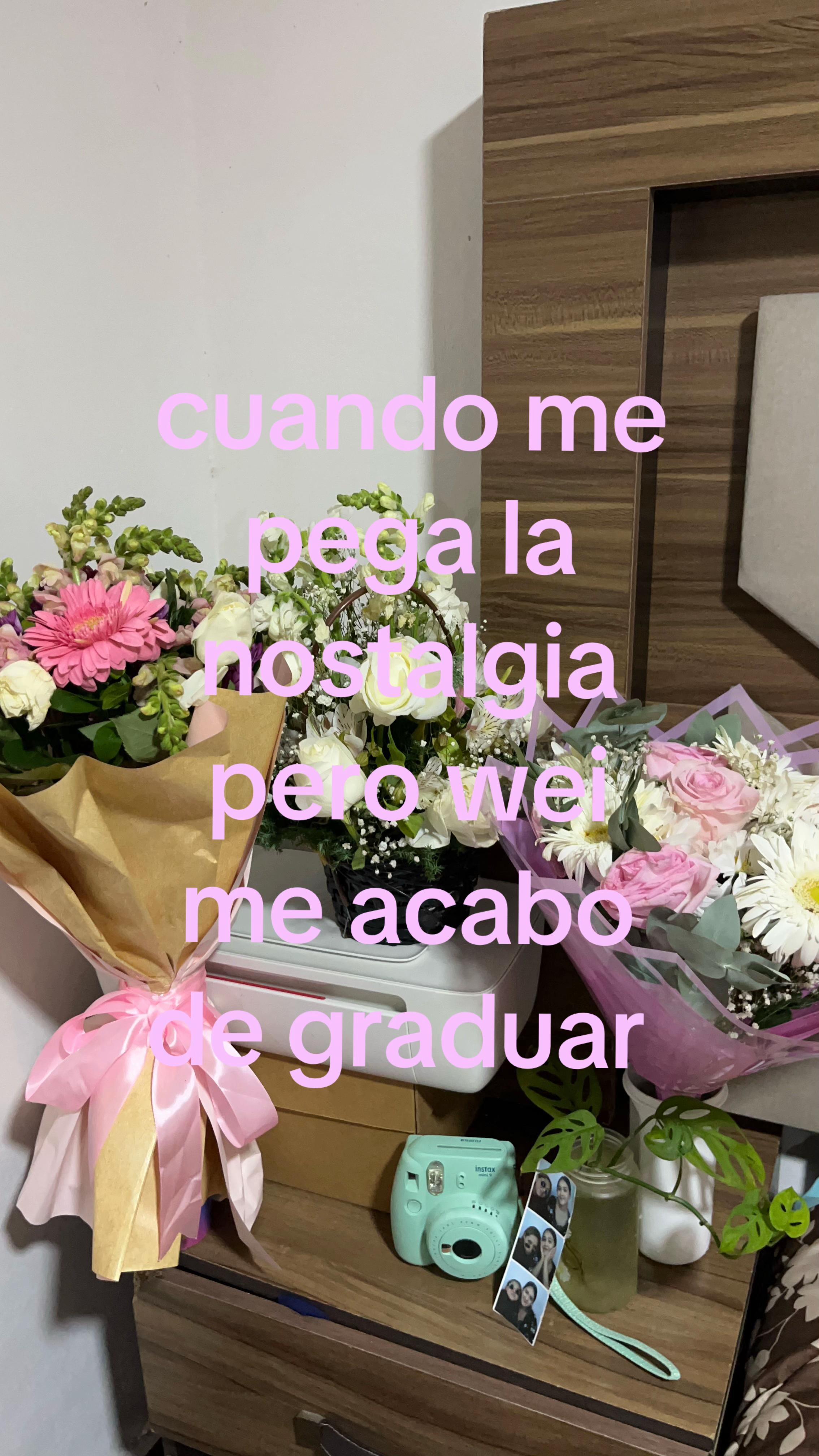 @canelamich🐰