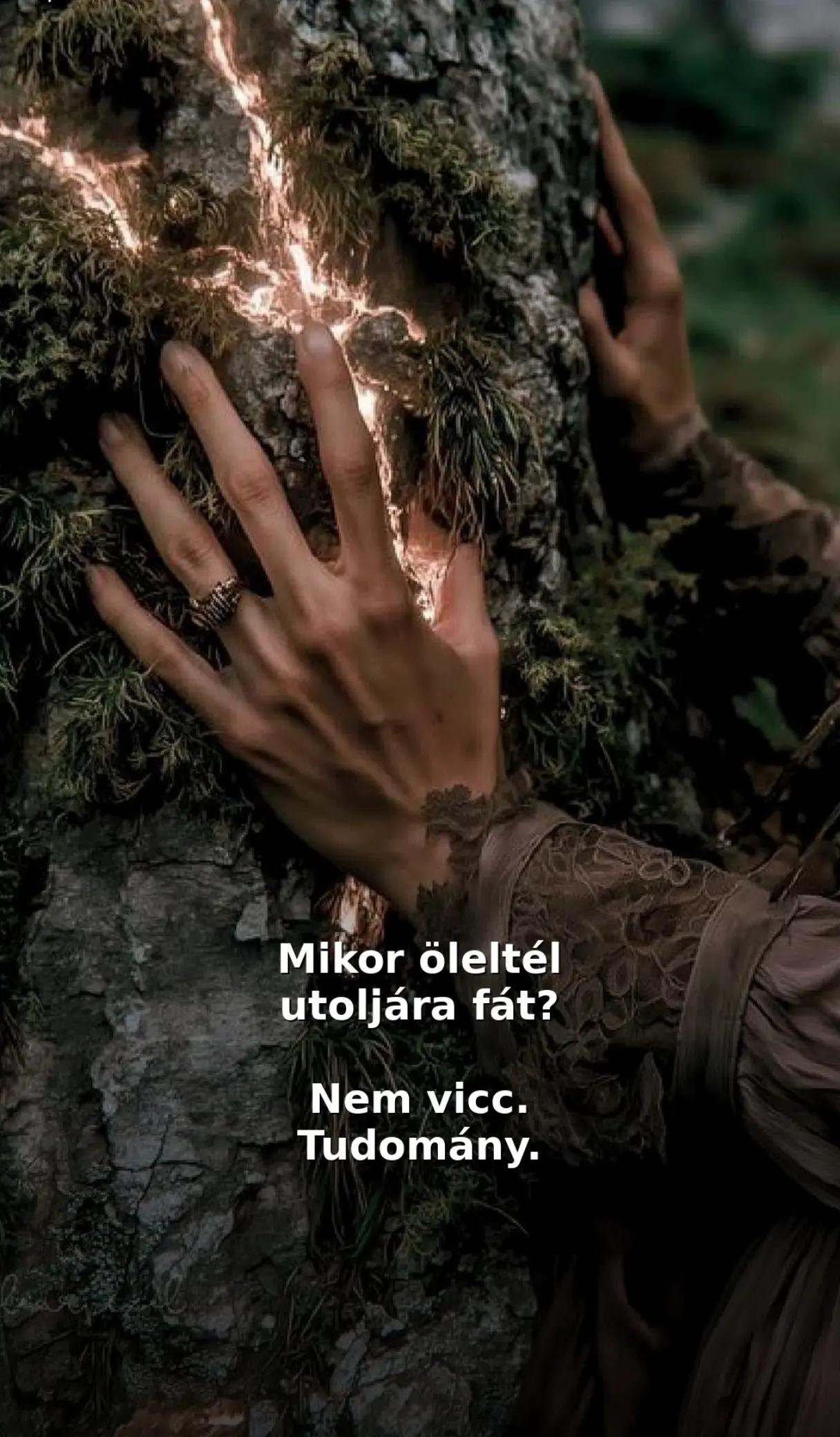 @đđźDödöllevirág đ§âïžđ