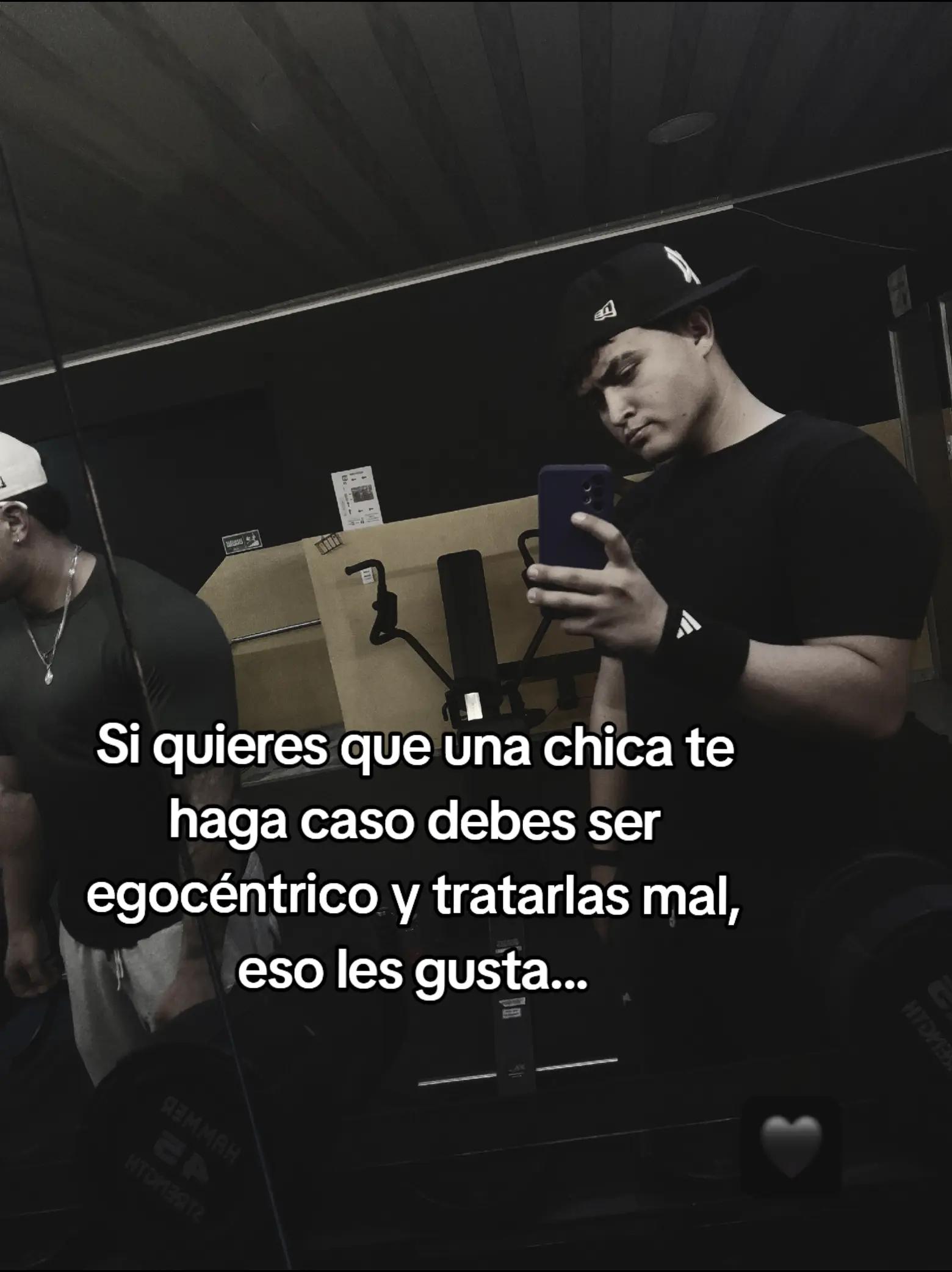 @Sebastian 👤 💤