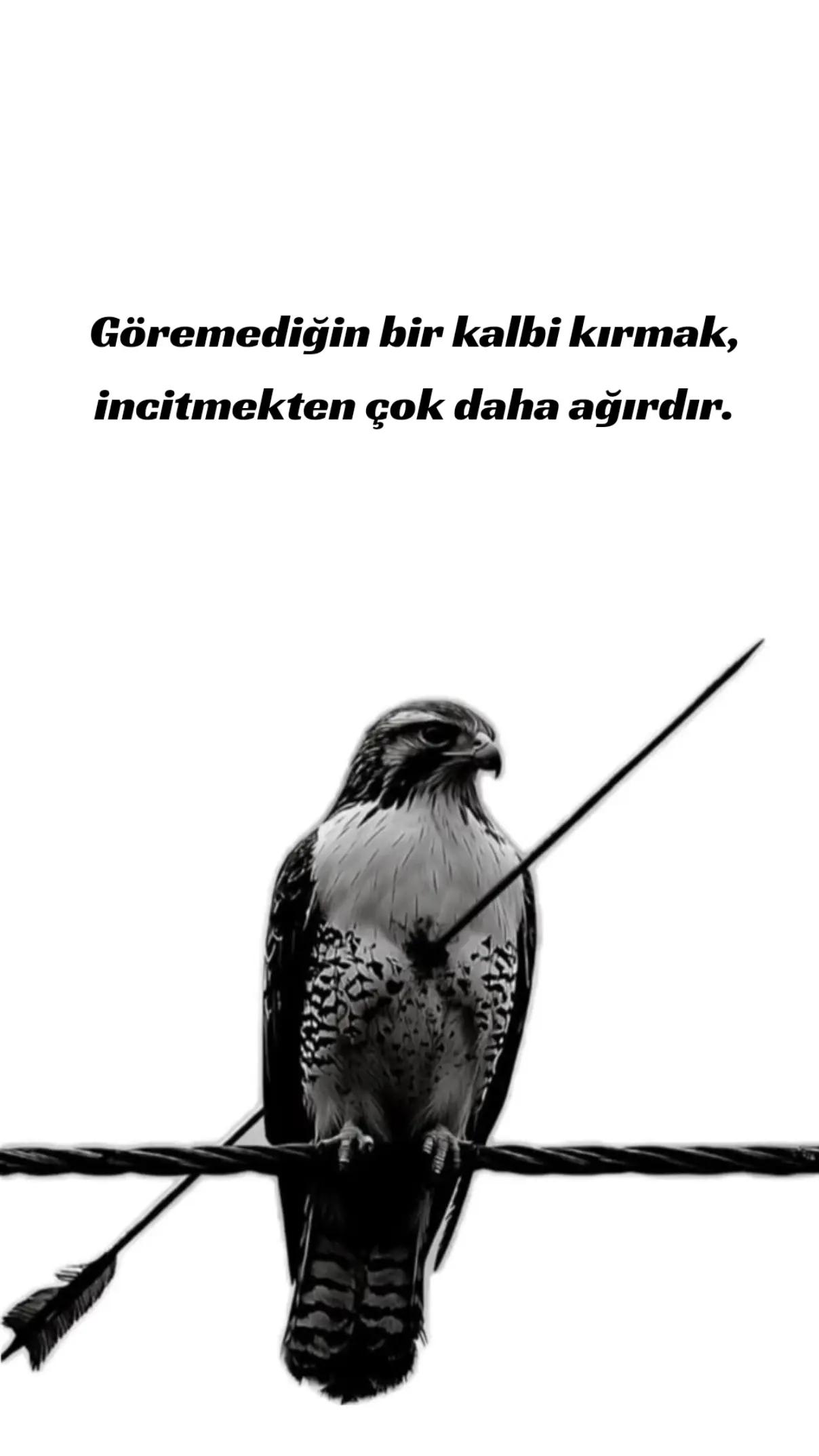 @ZEKİ KARA