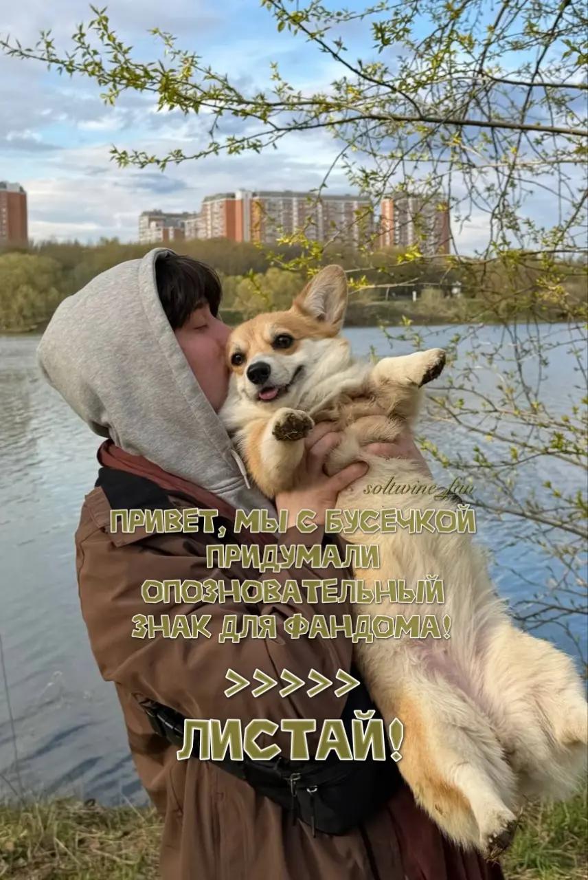 @тгк: soltwine_fan 🧂🍷