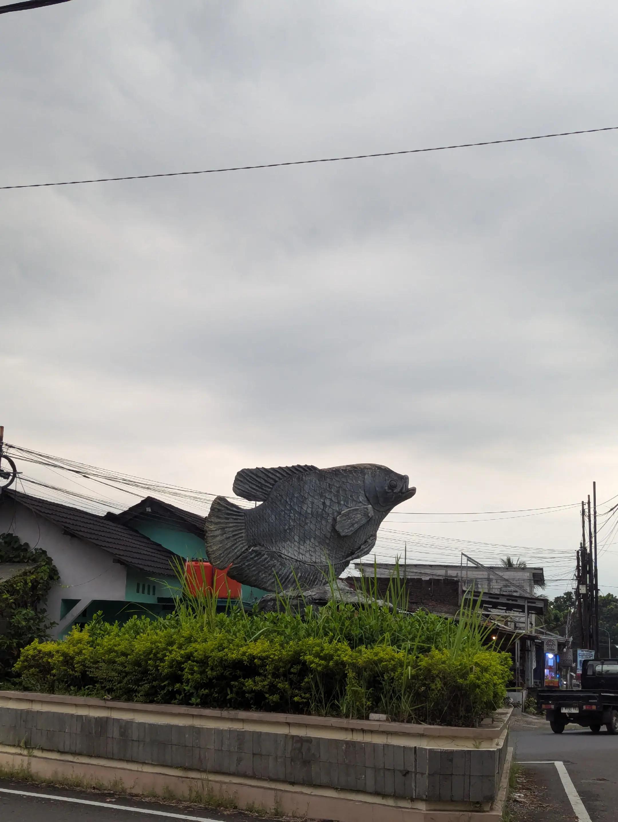 @Mancing Everyday