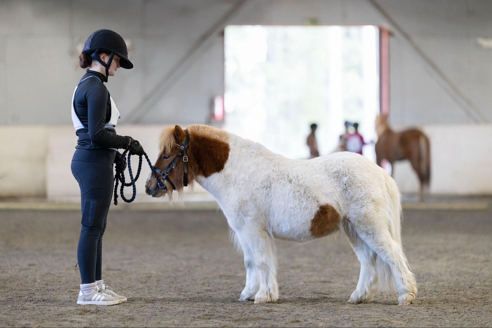 @krista || ig kayhkodressage