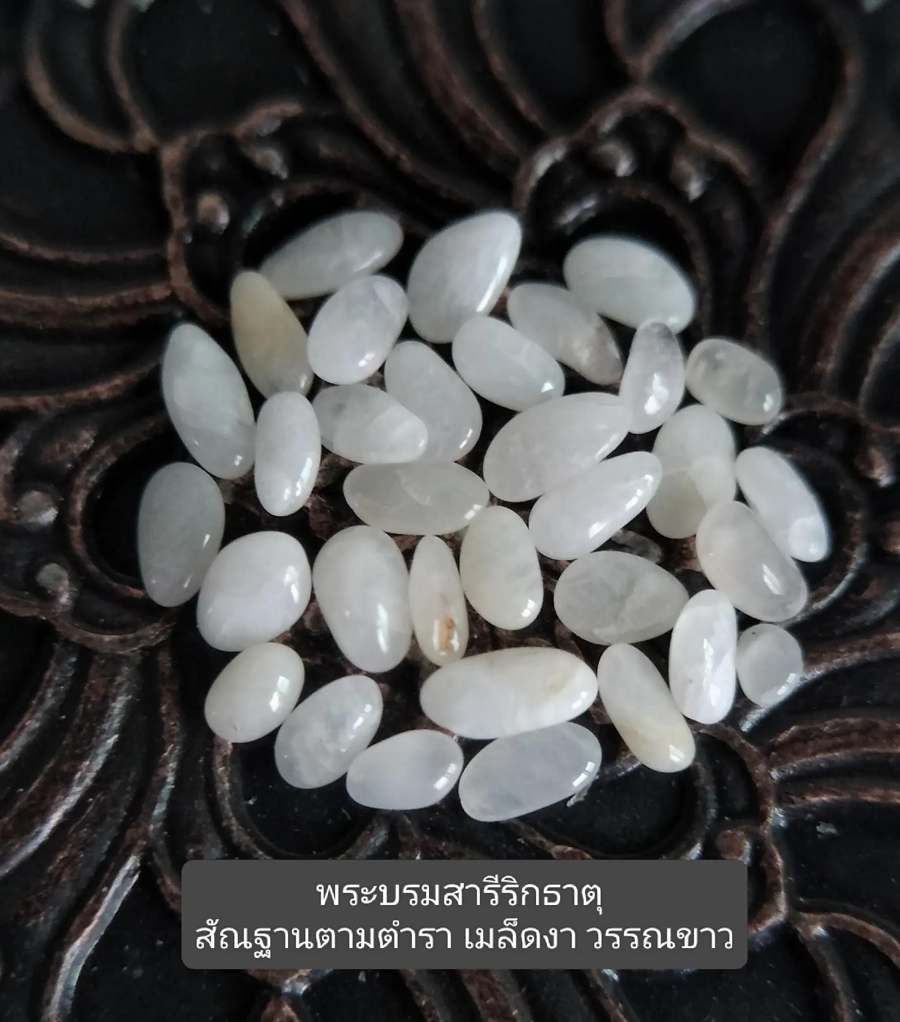 @ชมรมรักษ์พระบรมธาตุฯ