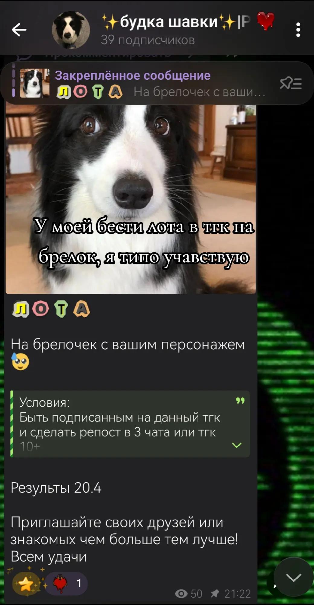 @fizzymoon97🪷