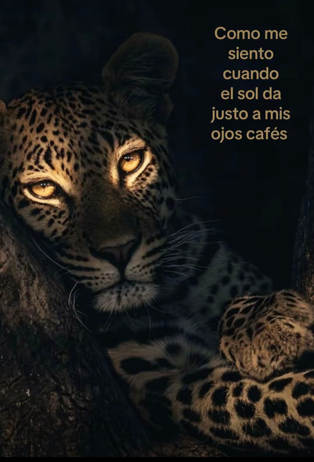 @𝓟𝓪𝓾𝓵𝓲𝓷𝓪ꨄ︎
