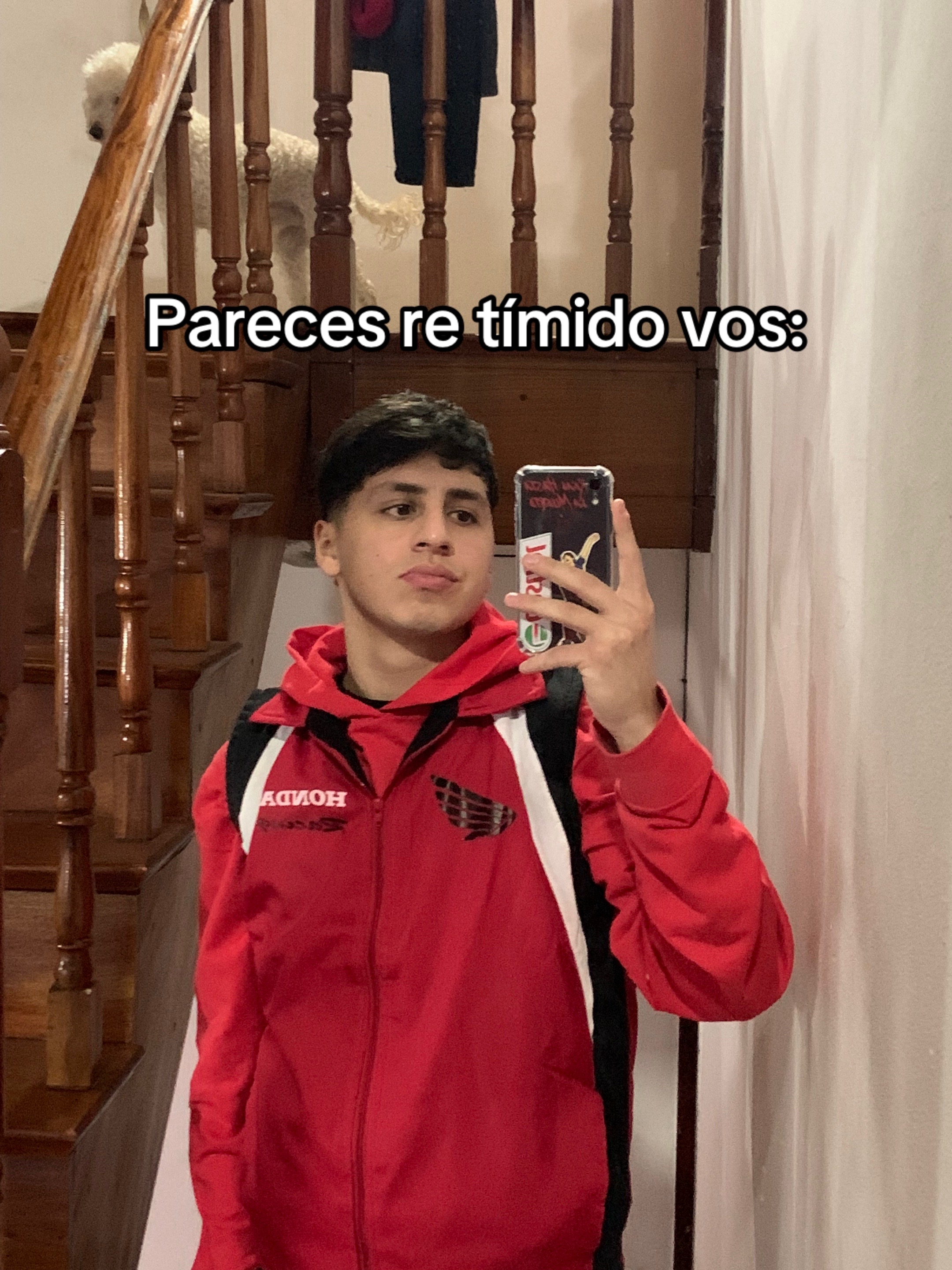 @Tomi Vazquez