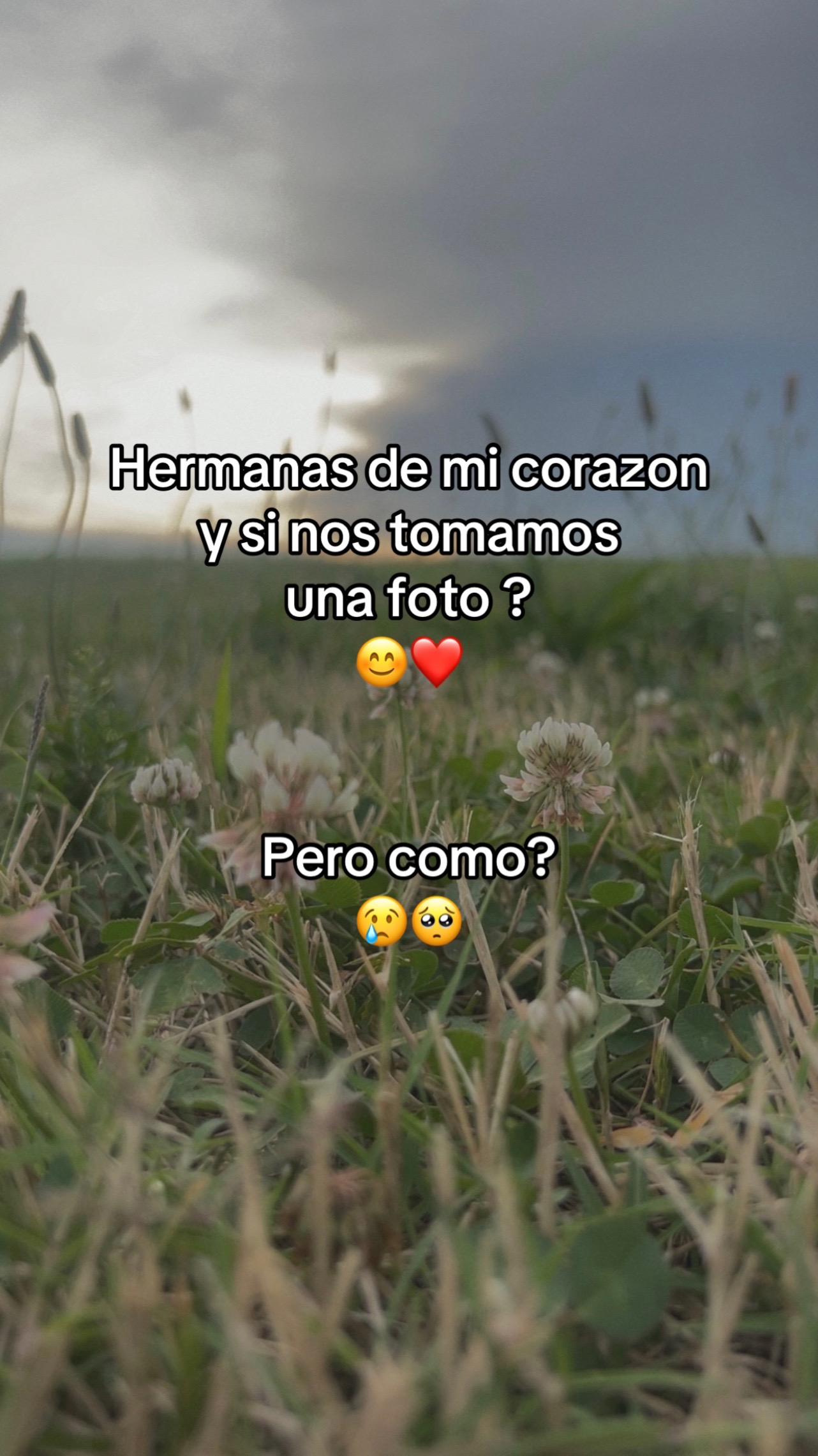 @tenay