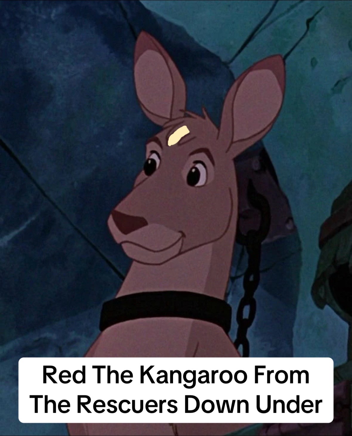 @TheManedWolfFan